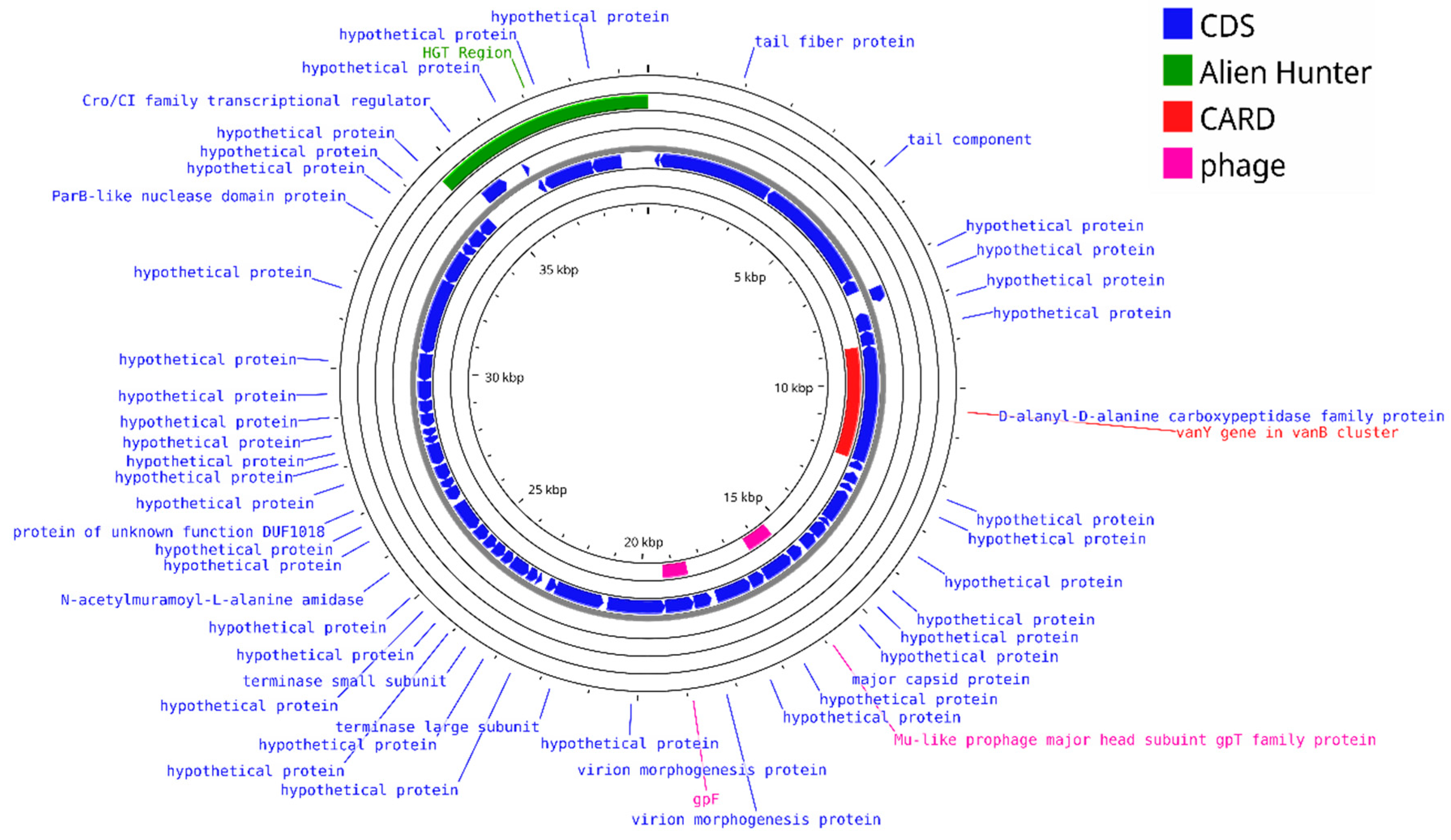 Viruses 17 00971 g003