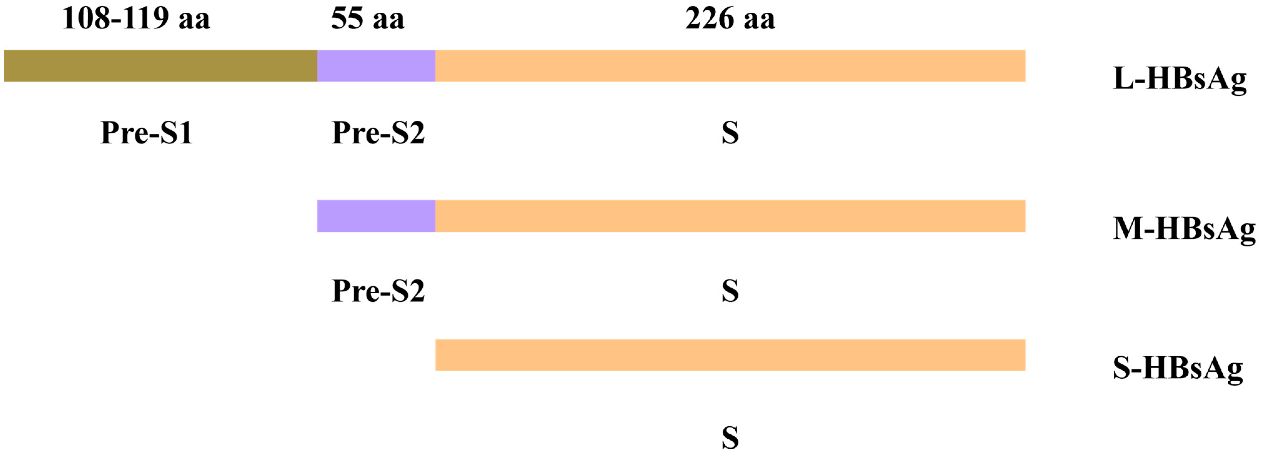 Viruses 17 00974 g002 Viruses 17 00974 g002