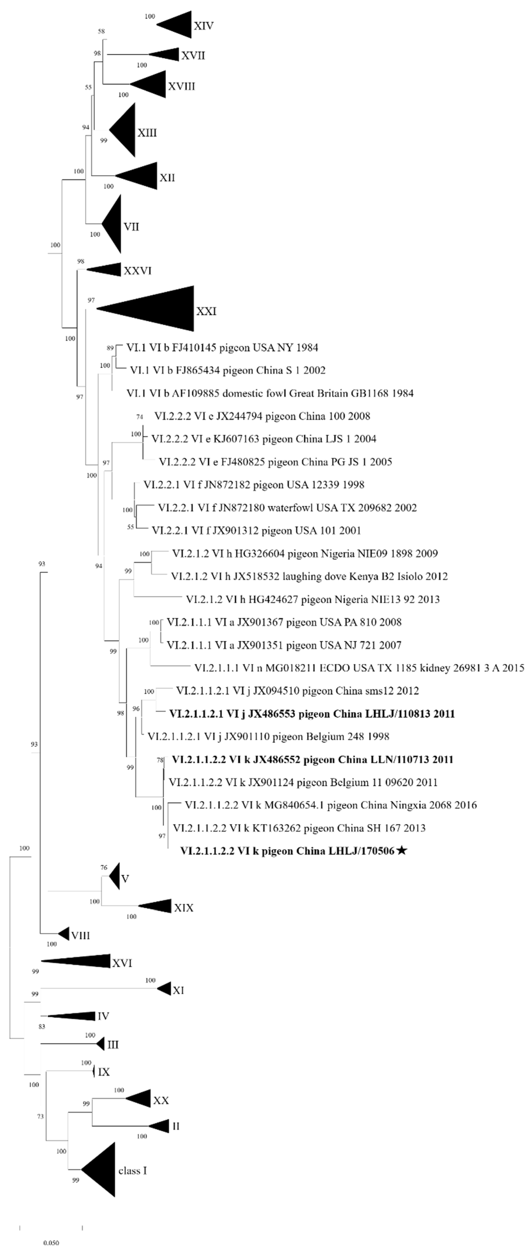 Viruses 17 00977 g001