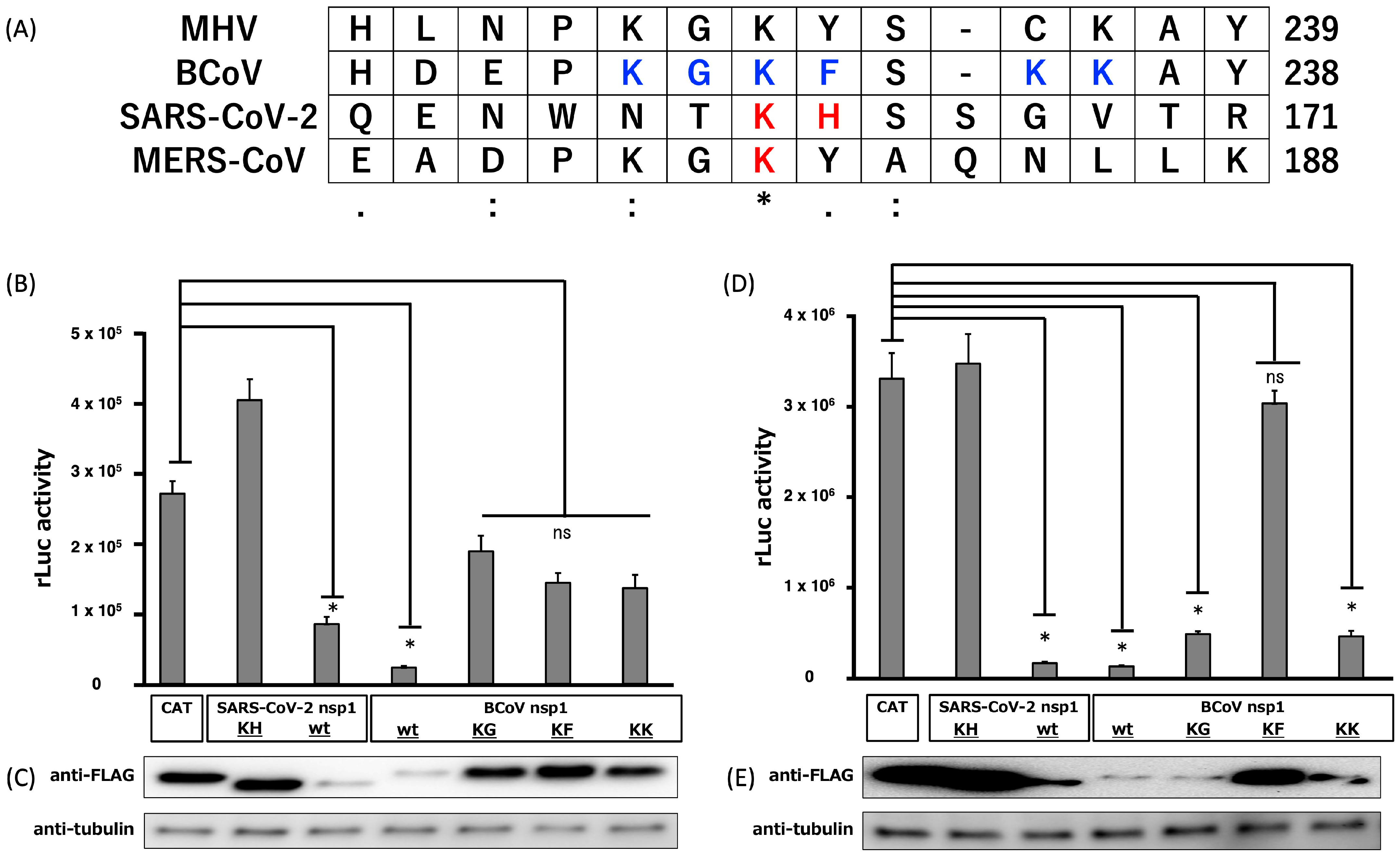 Viruses 17 00978 g002