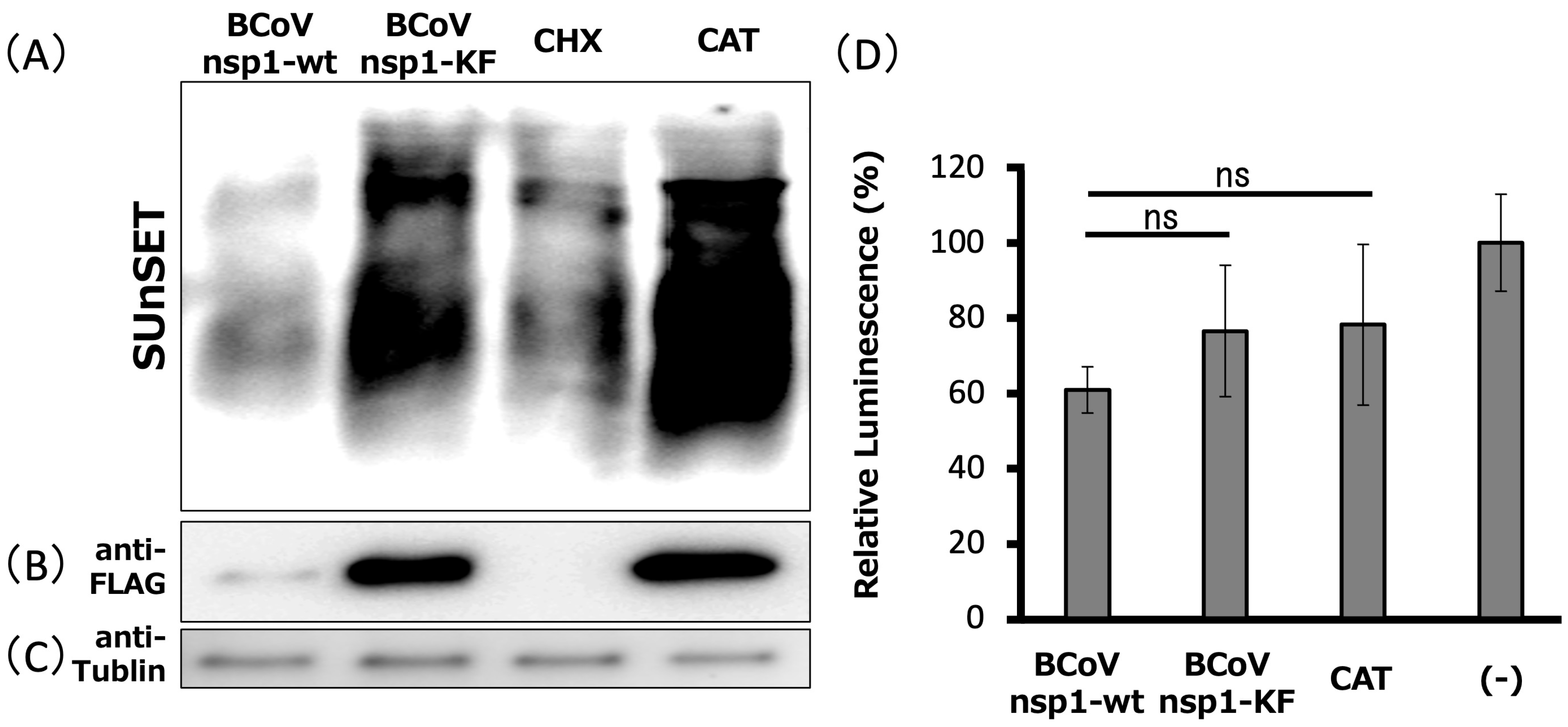 Viruses 17 00978 g003