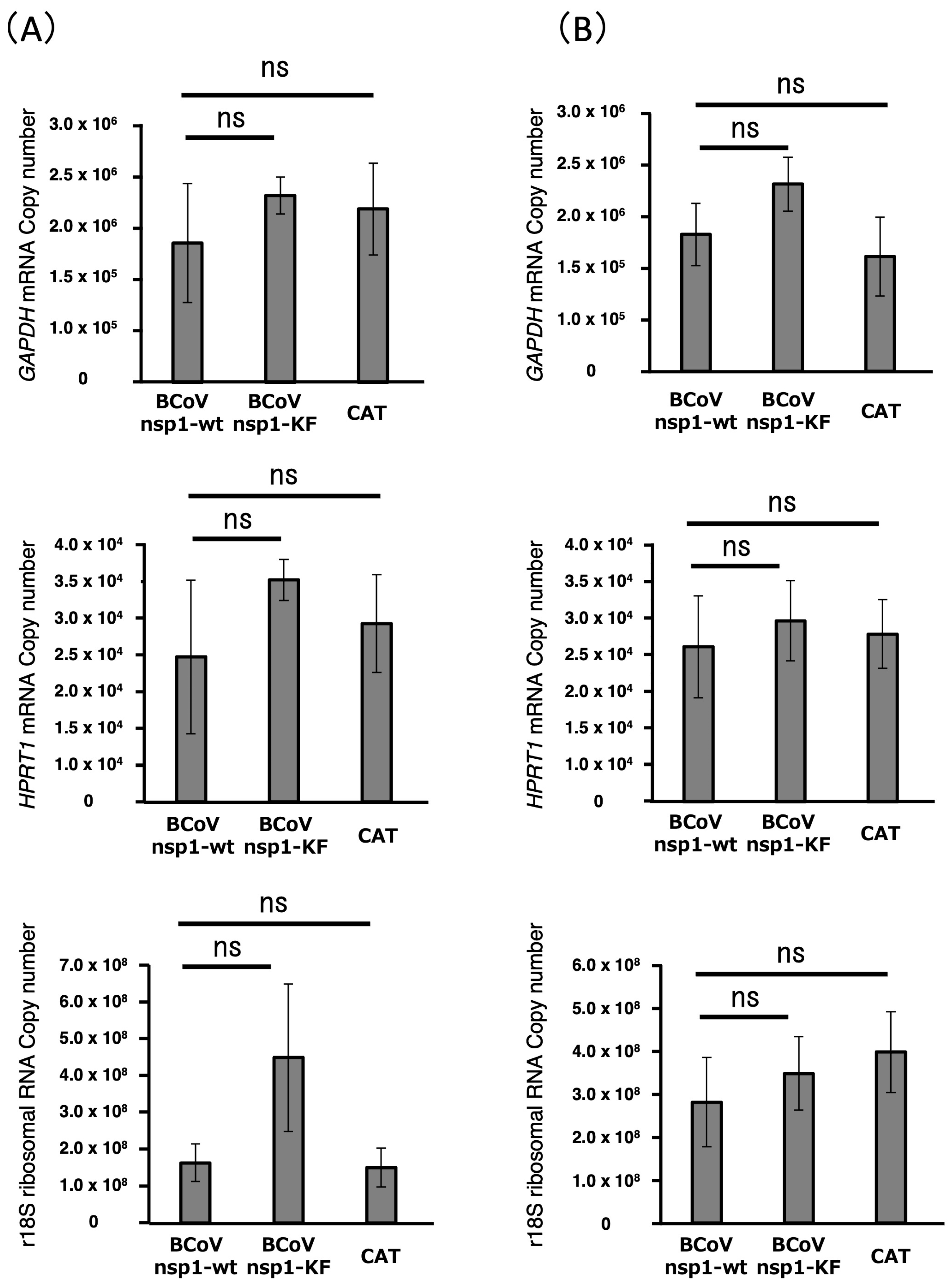 Viruses 17 00978 g004
