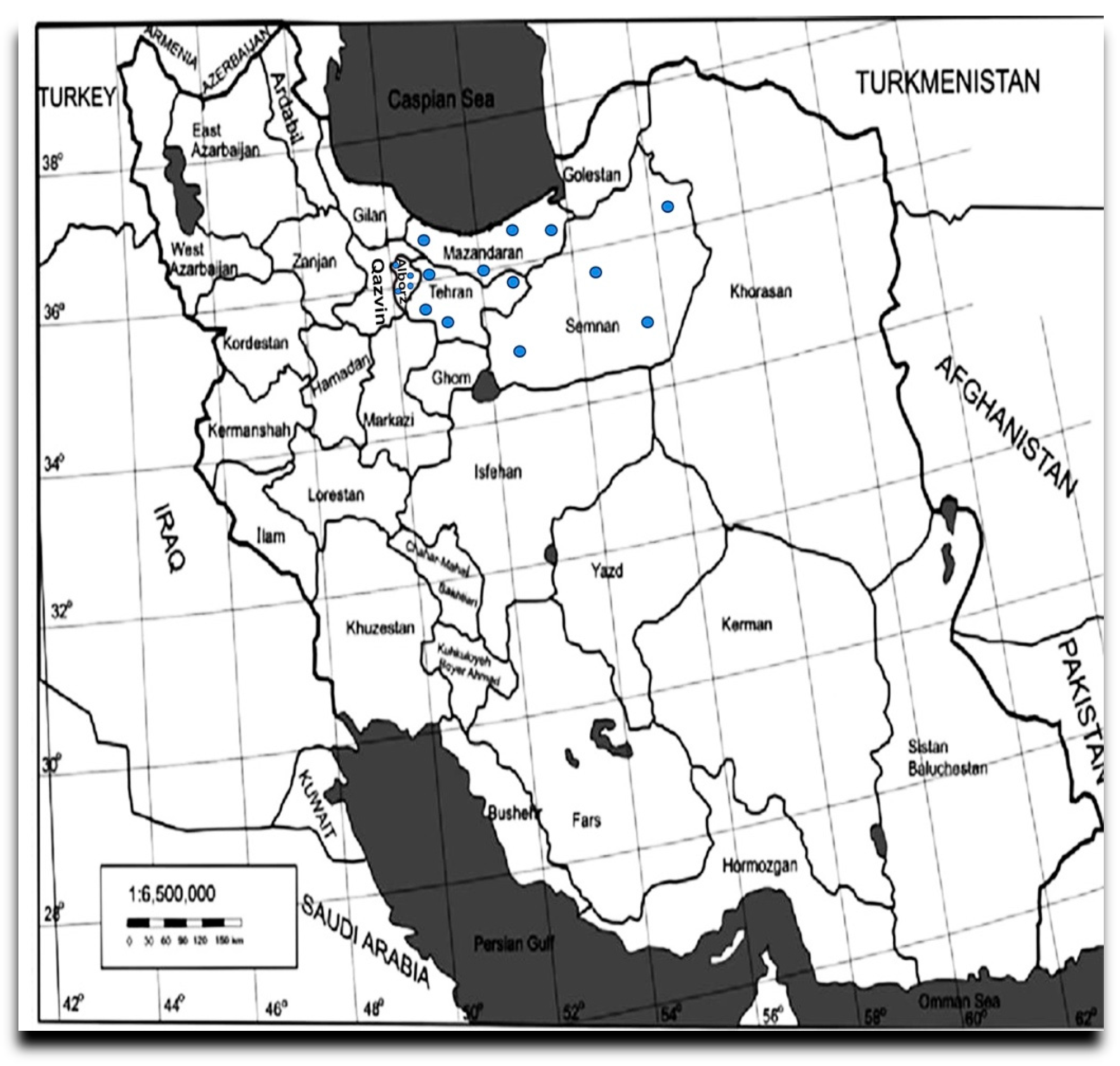 Viruses 17 00979 g001