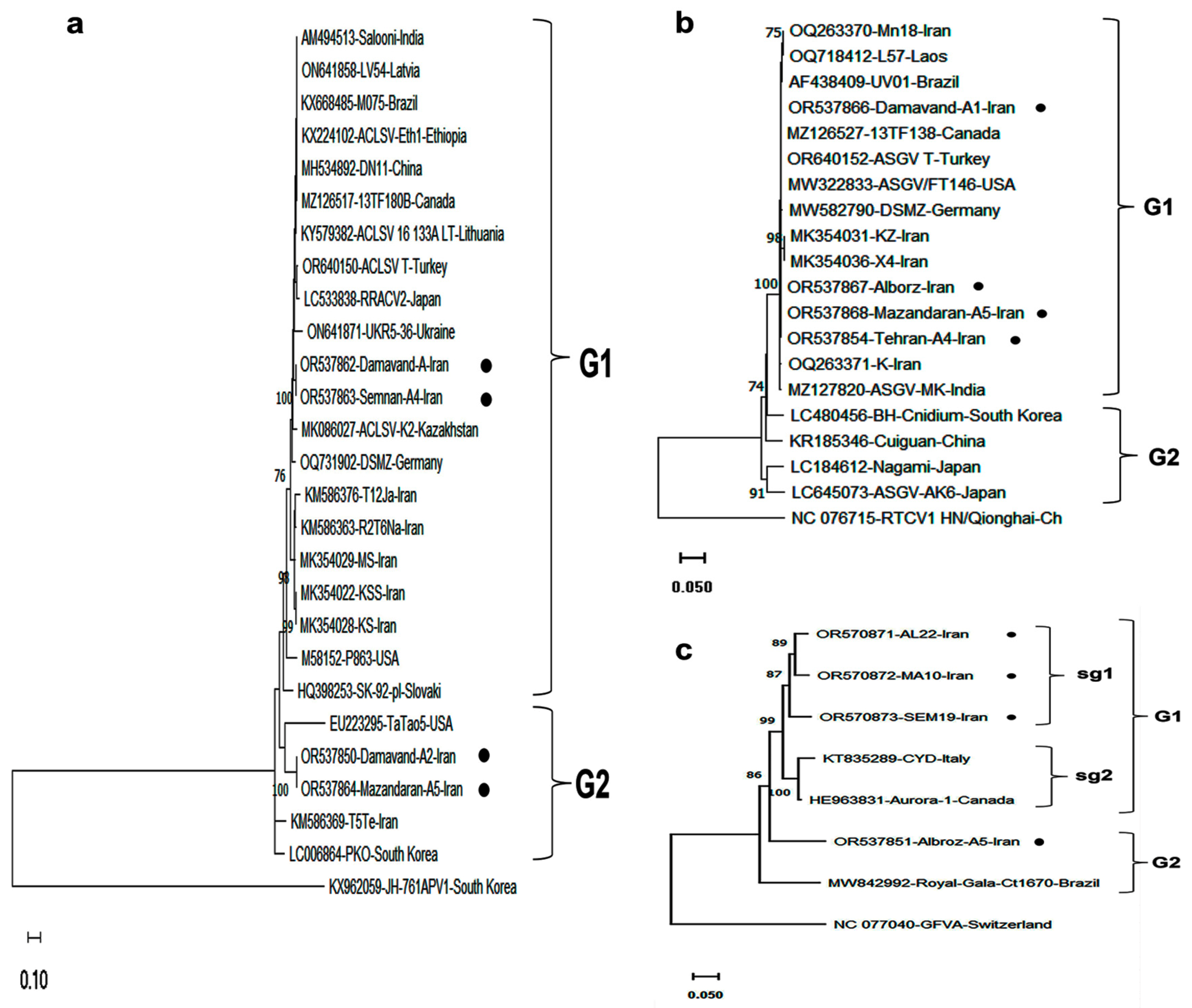 Viruses 17 00979 g003