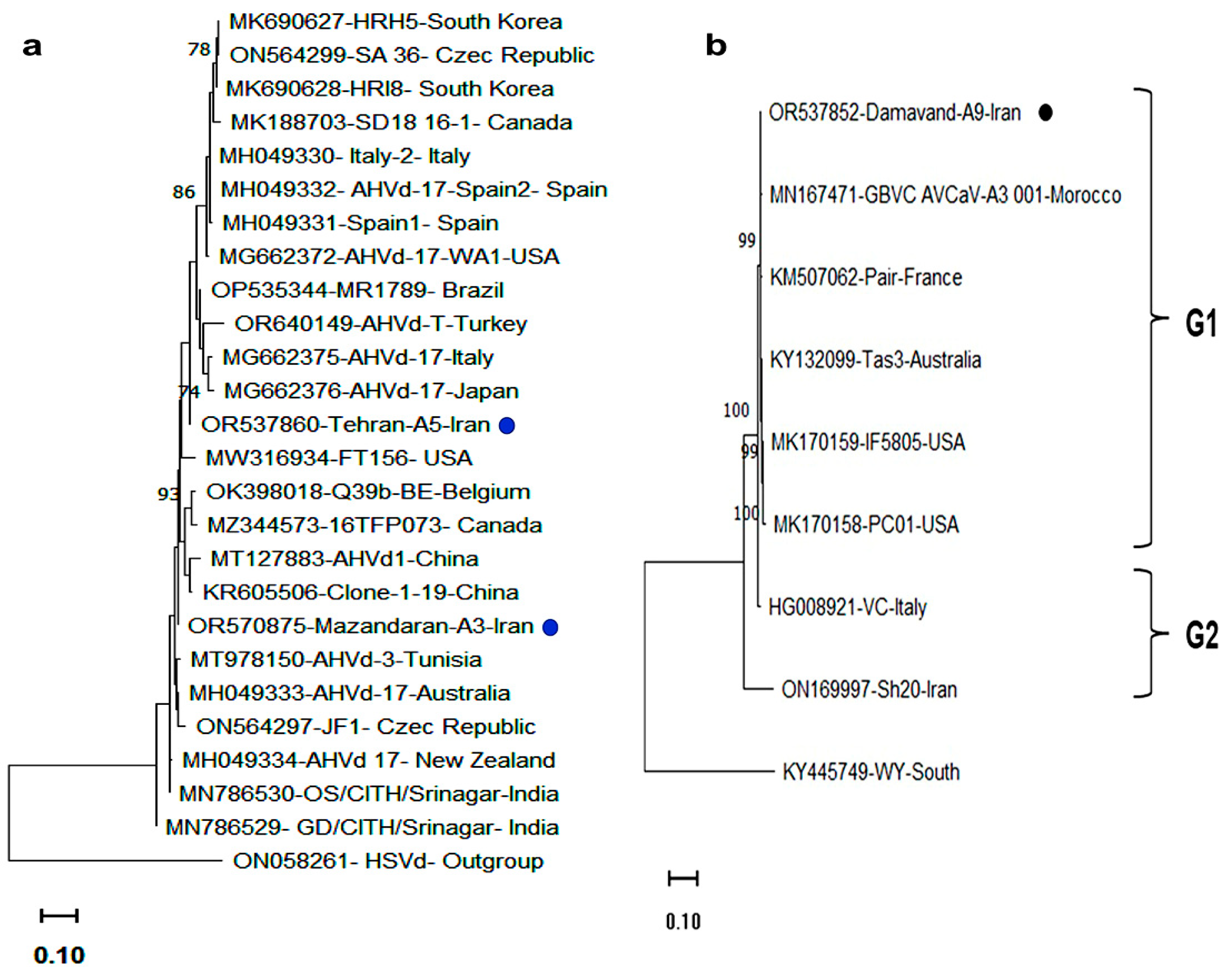 Viruses 17 00979 g004