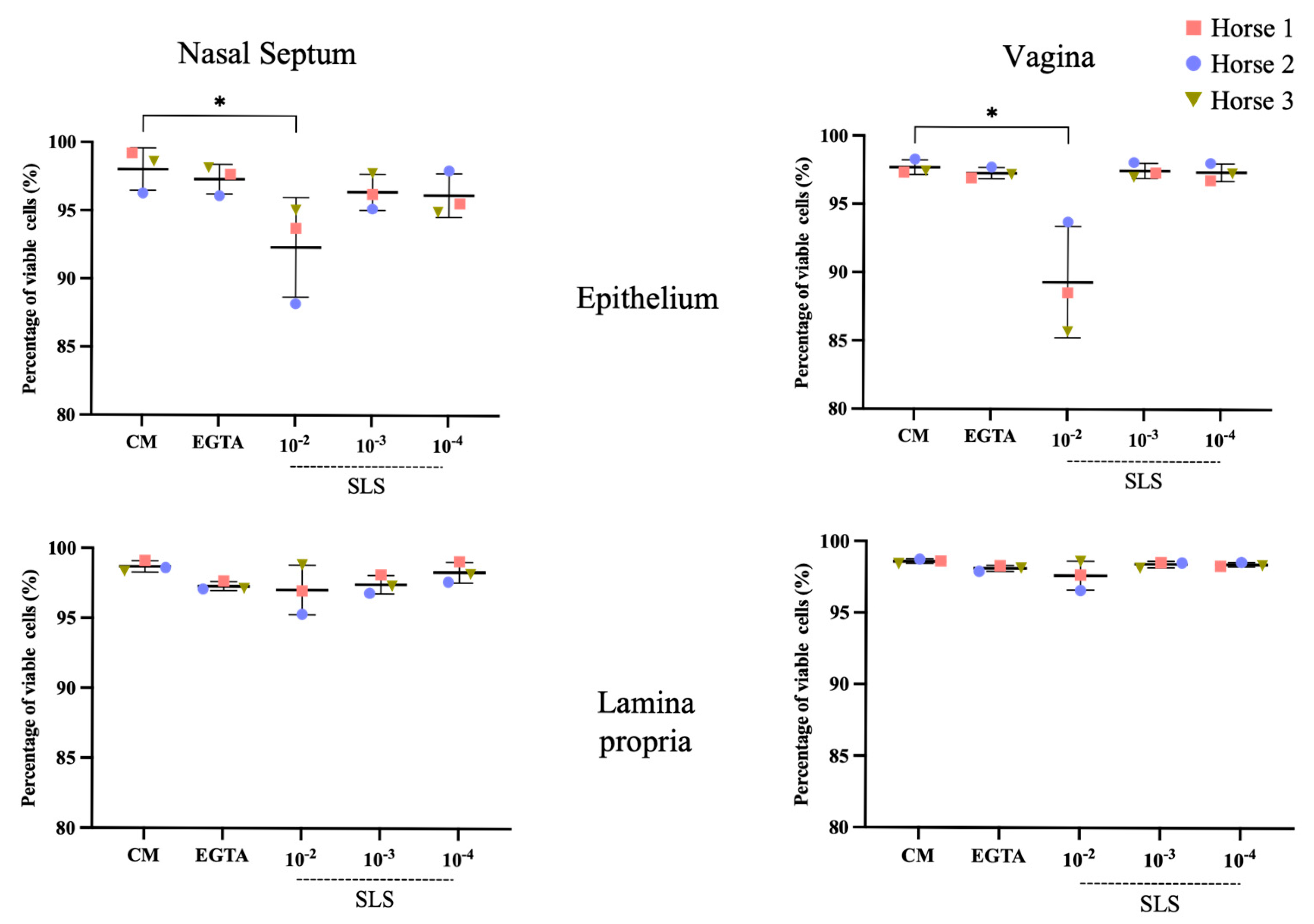 Viruses 17 00980 g001