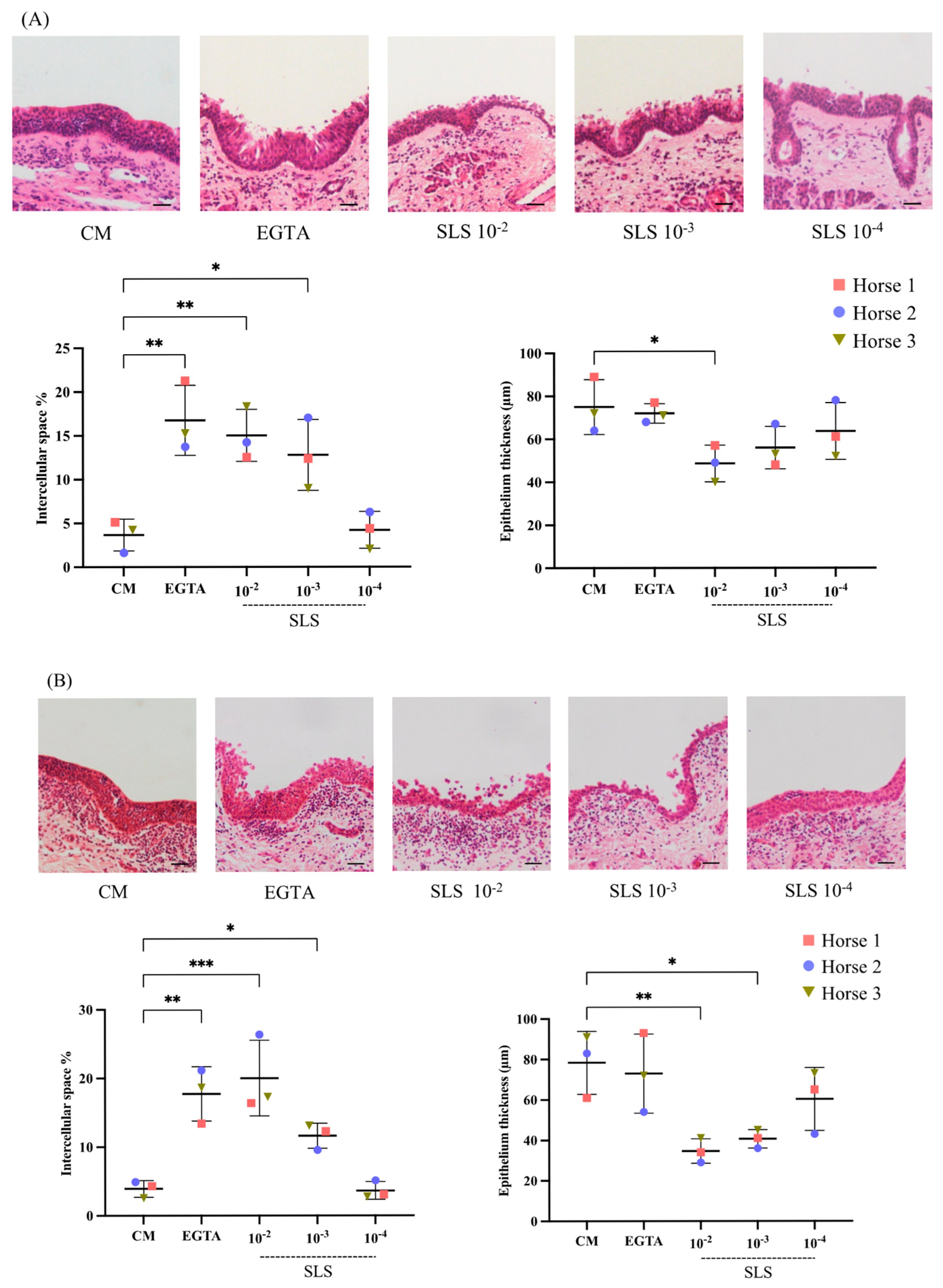 Viruses 17 00980 g002
