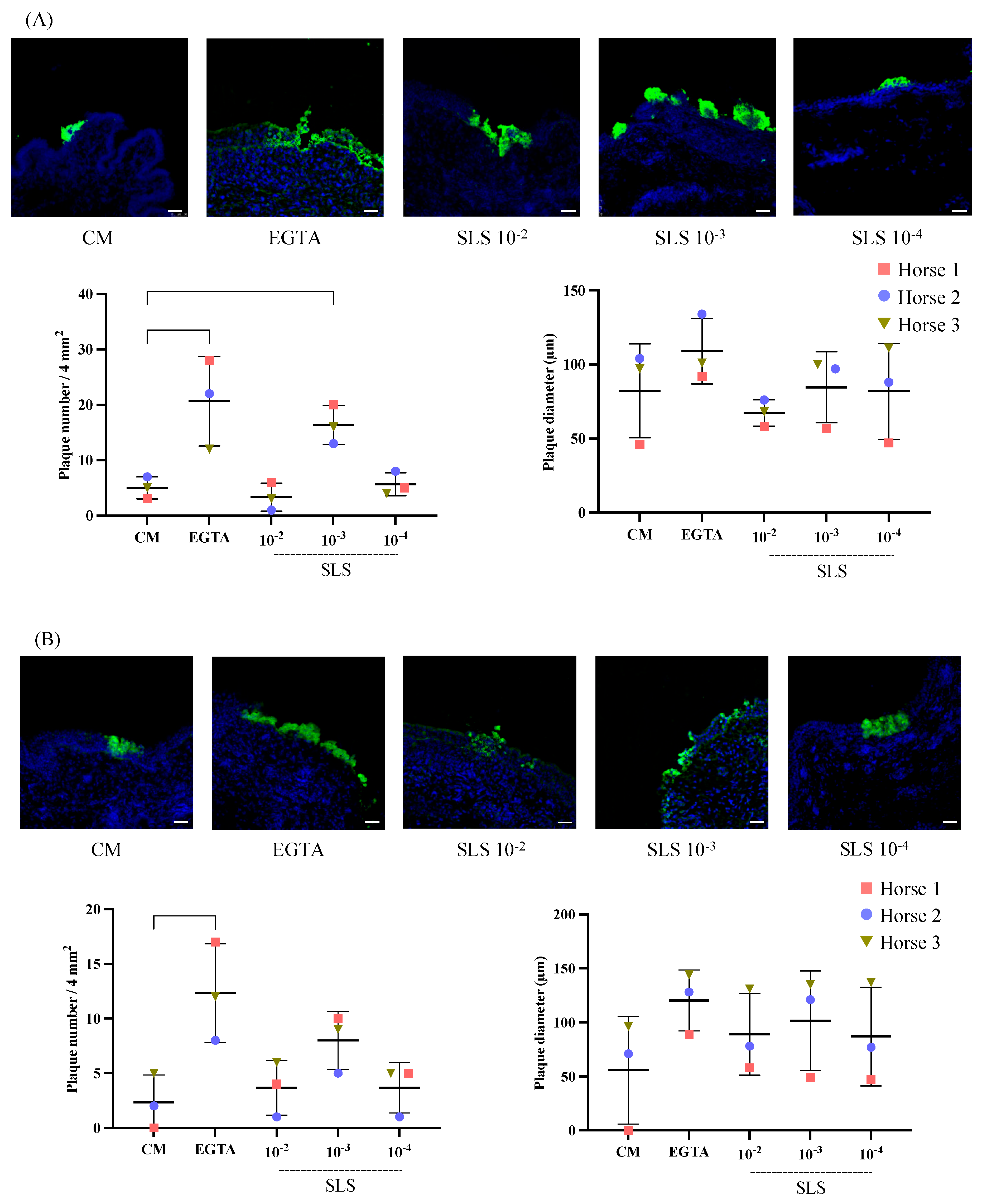 Viruses 17 00980 g004