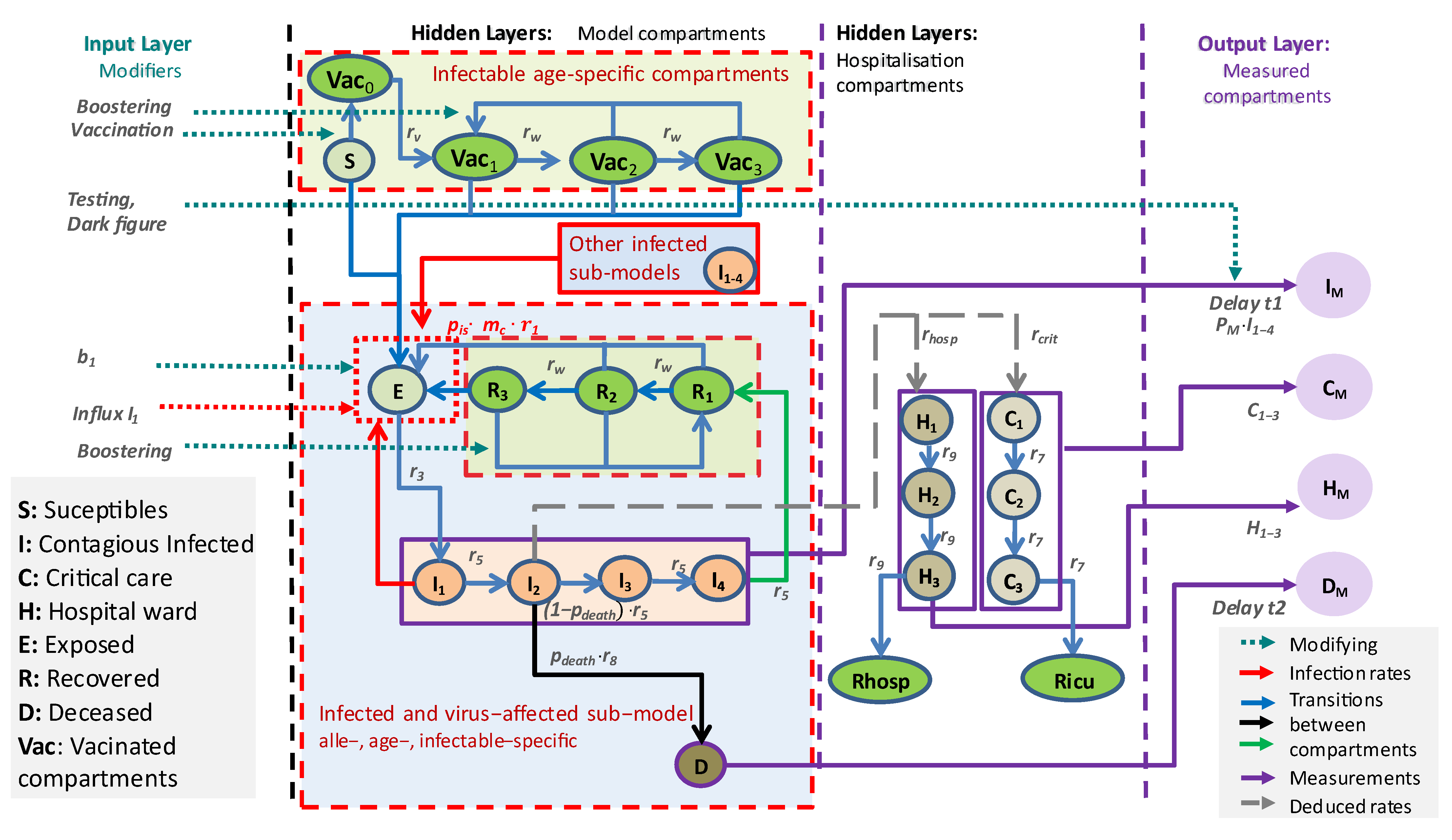 Viruses 17 00981 g001