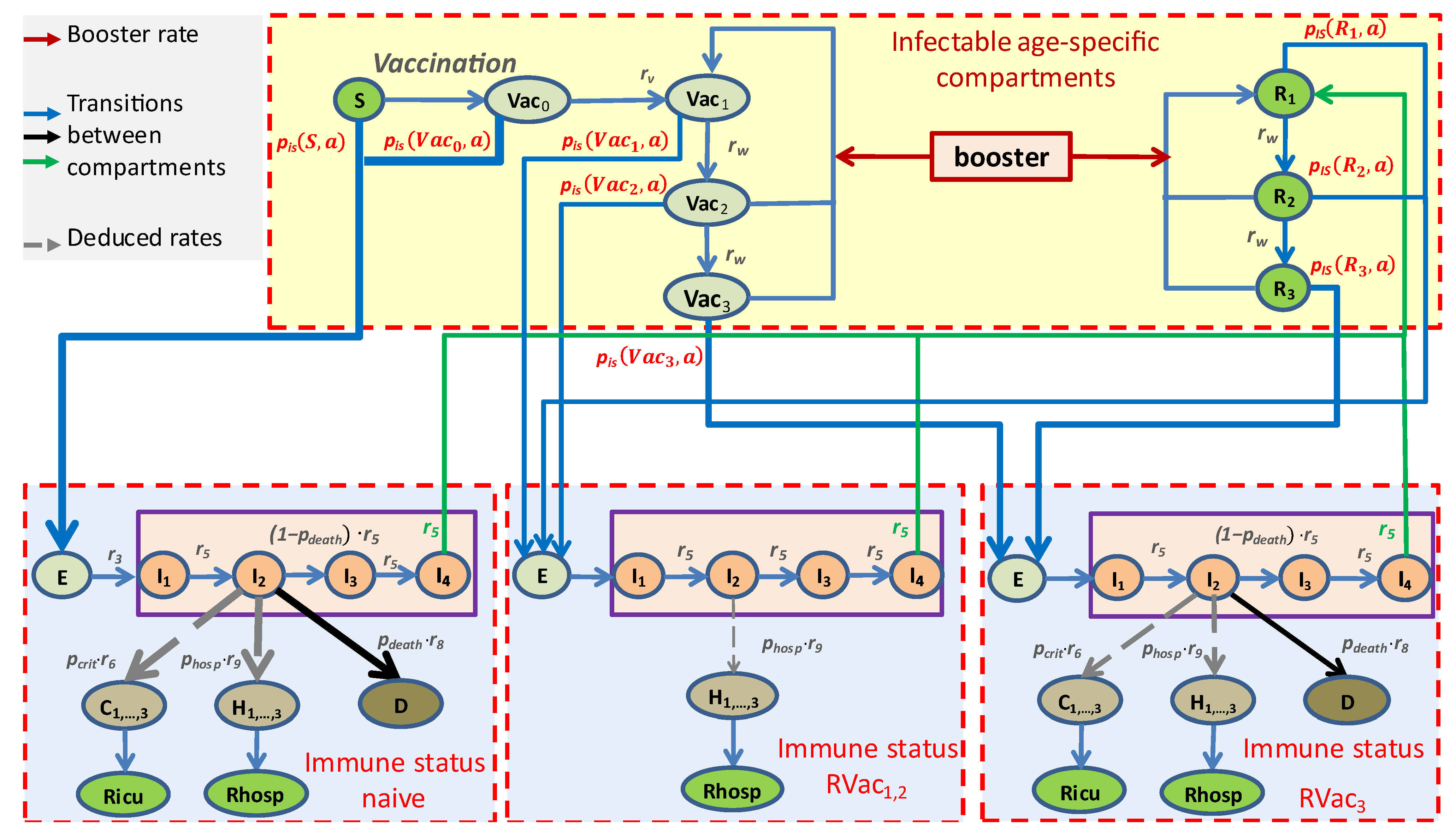 Viruses 17 00981 g002