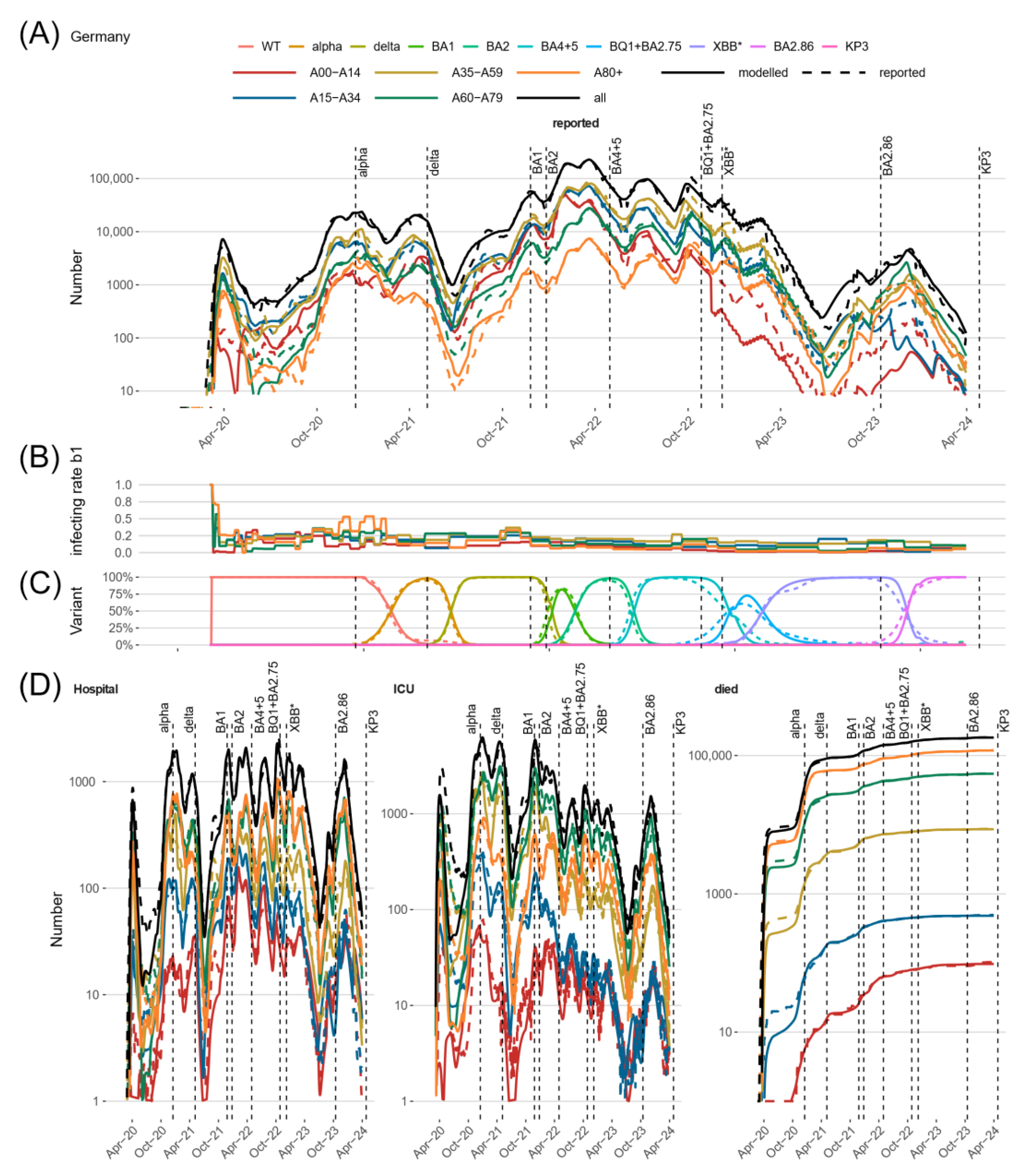 Viruses 17 00981 g003