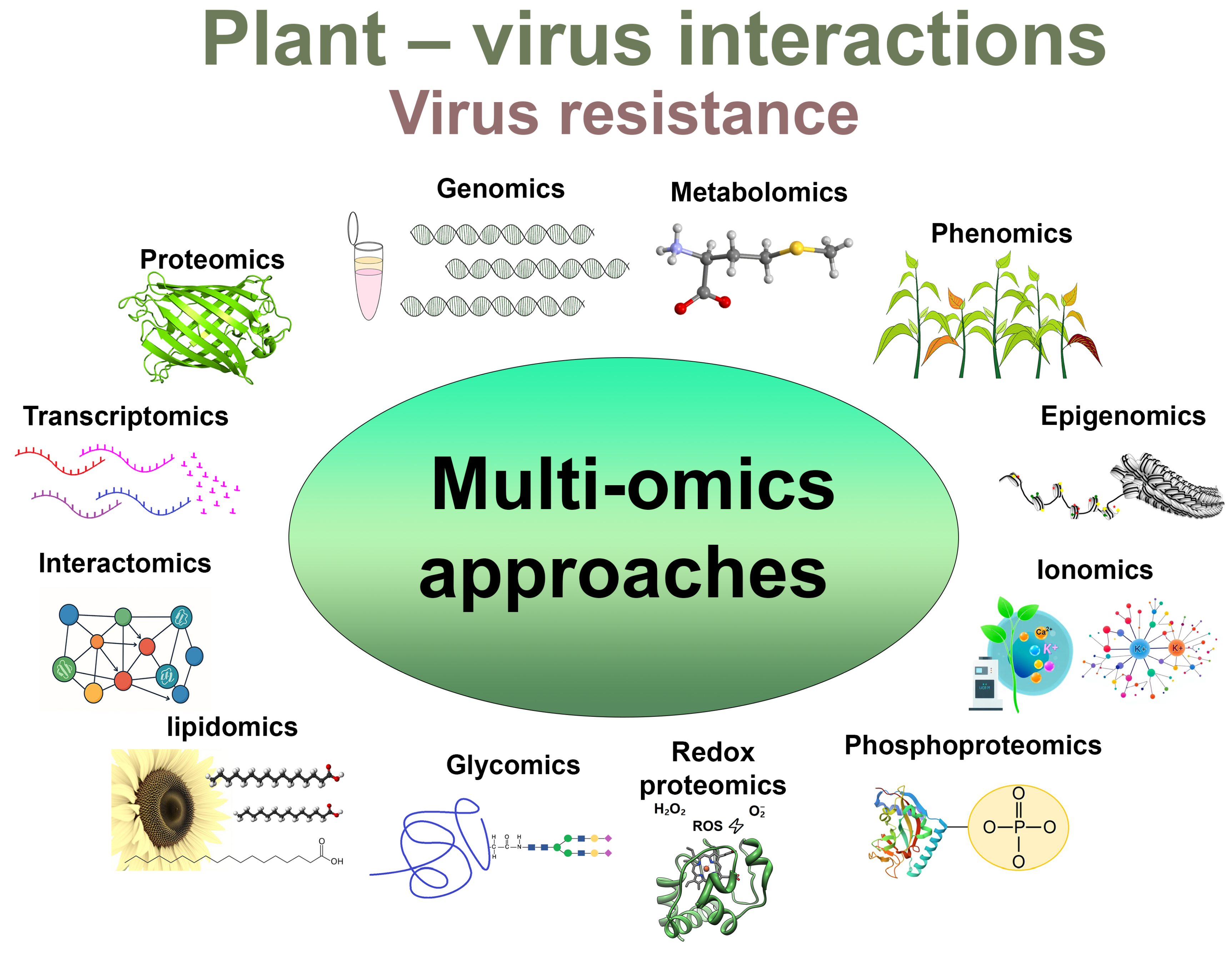Viruses 17 00986 g001