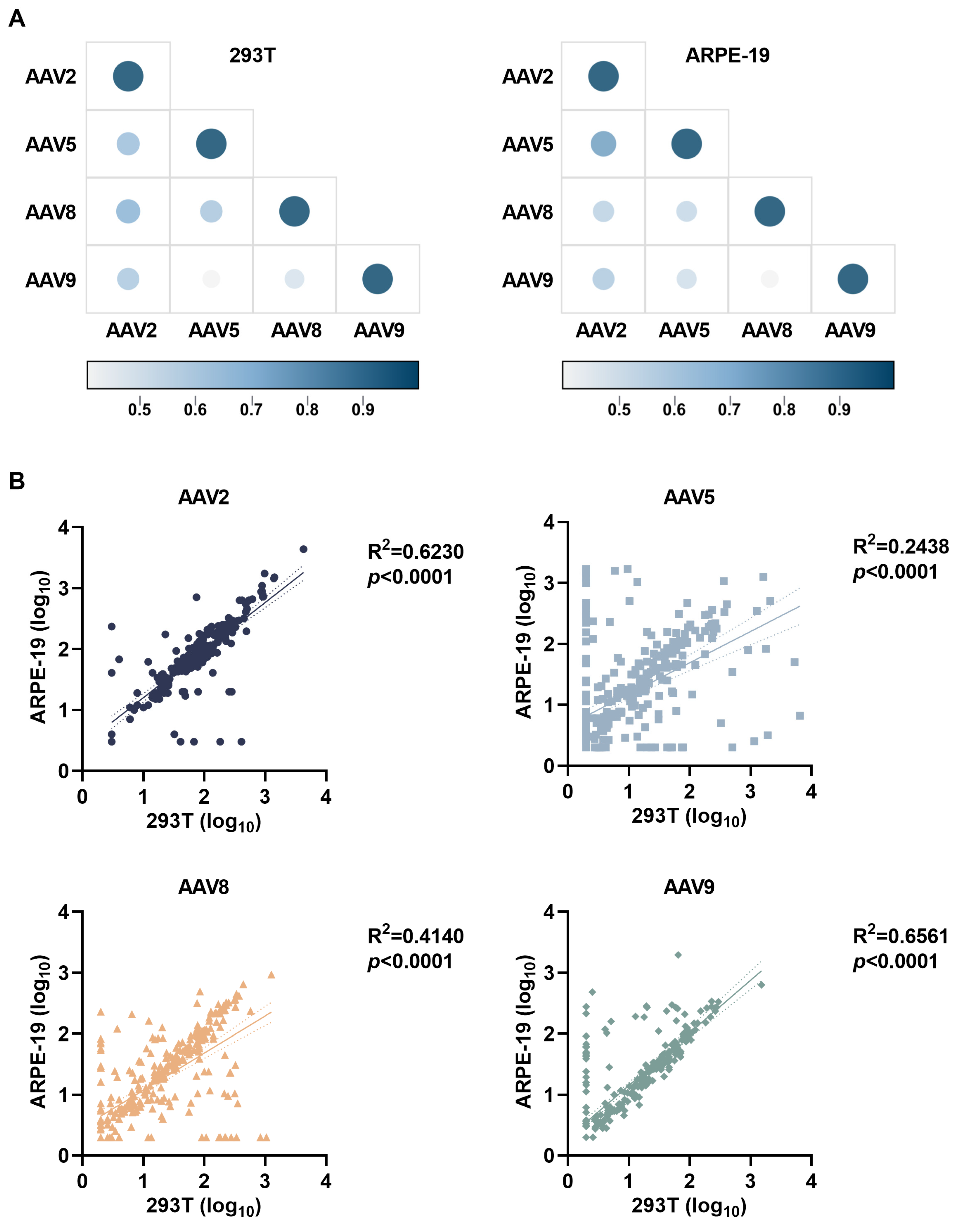 Viruses 17 00988 g005