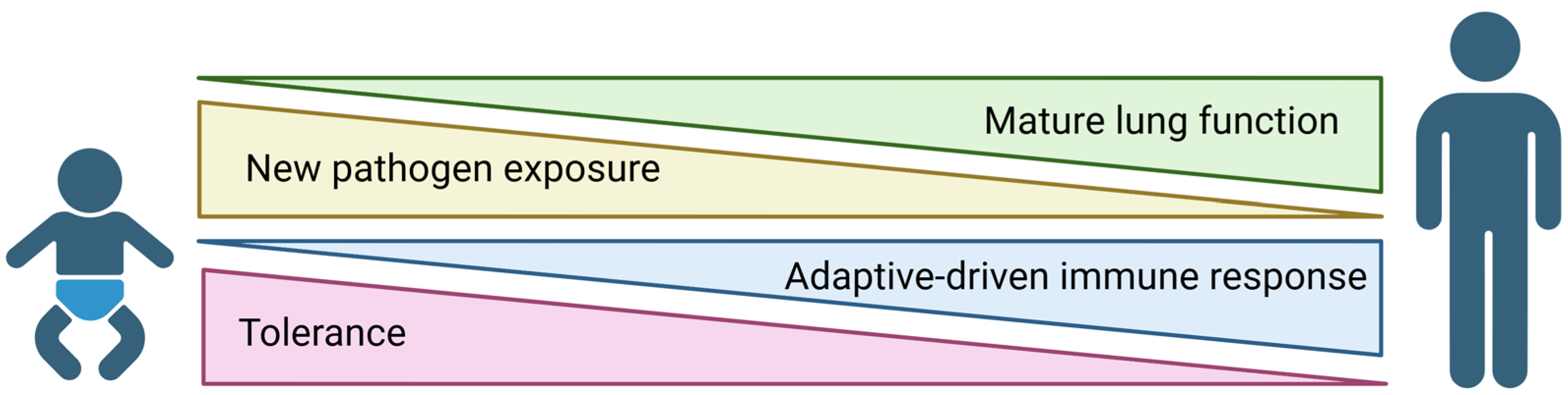 Viruses 17 01002 g001 Viruses 17 01002 g001