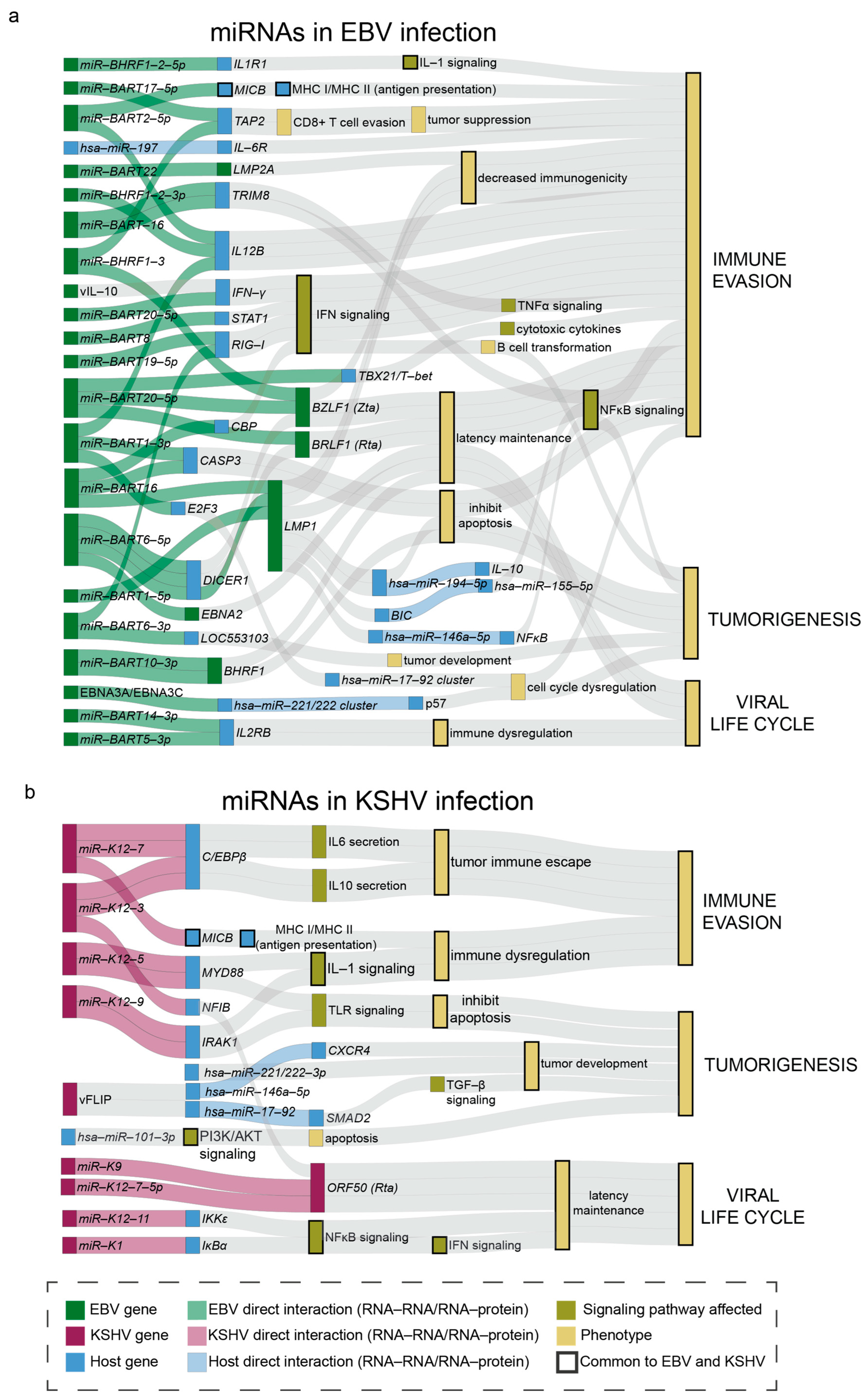 Viruses 17 01006 g001