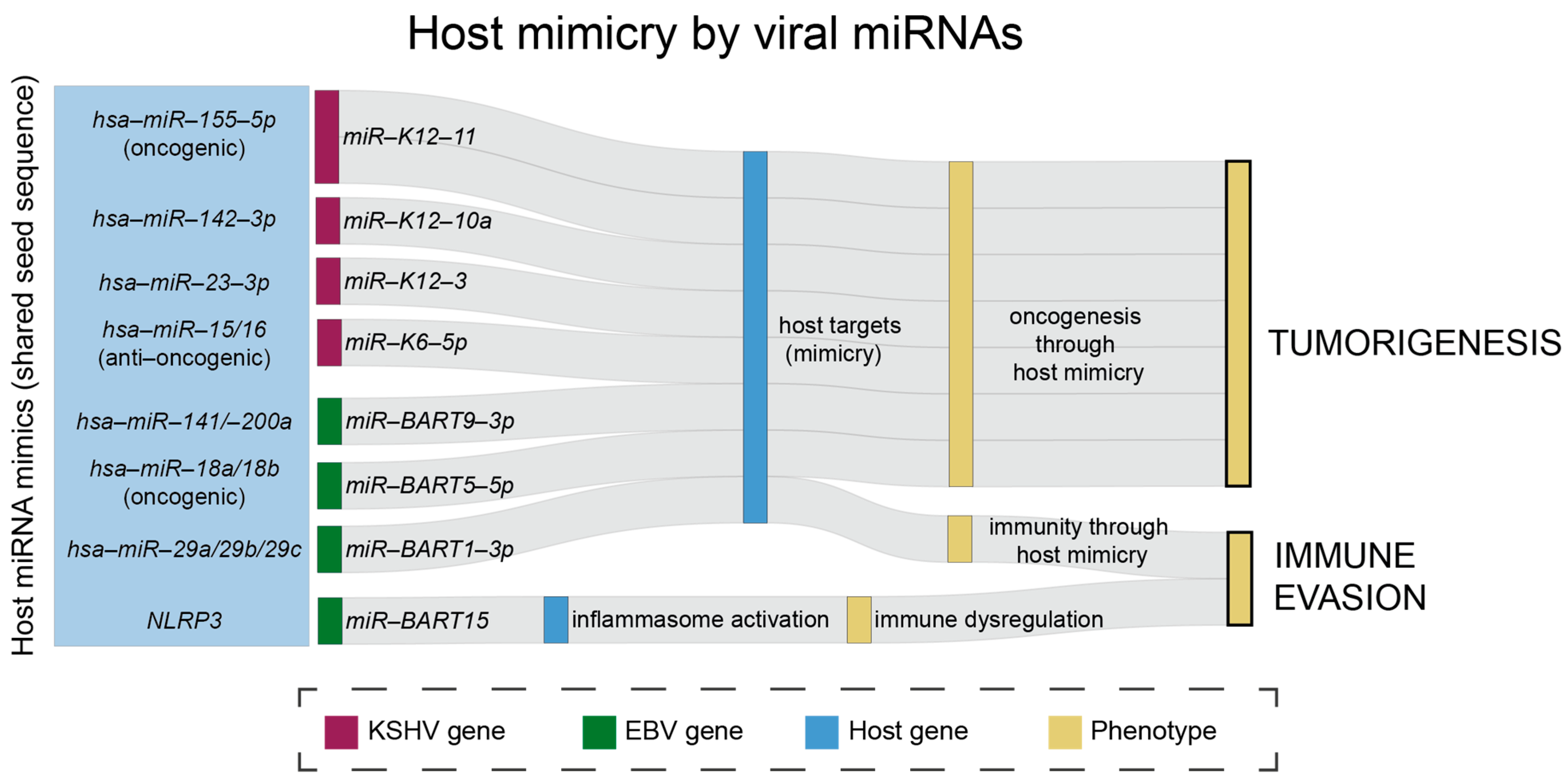 Viruses 17 01006 g002