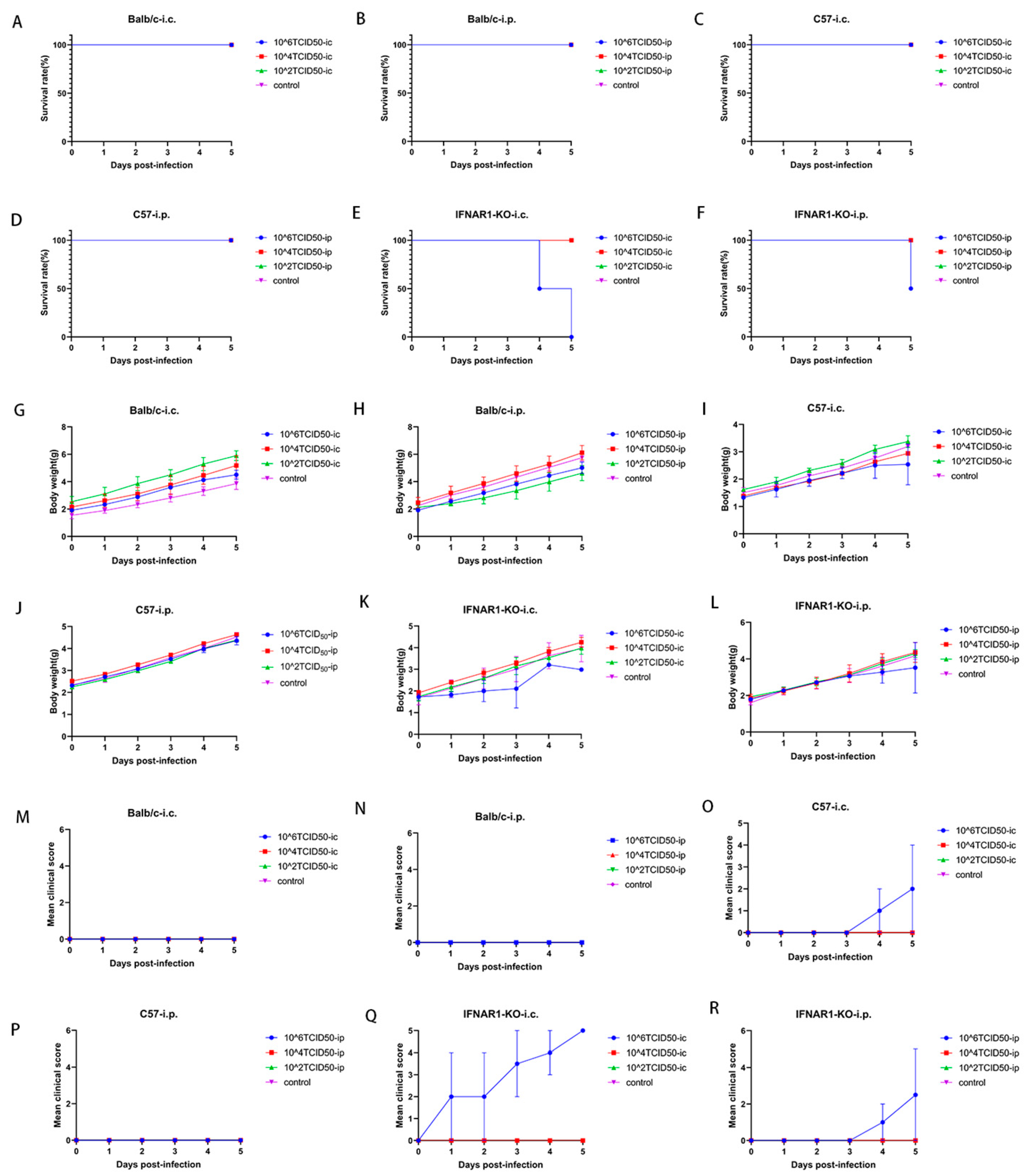 Viruses 17 01011 g001