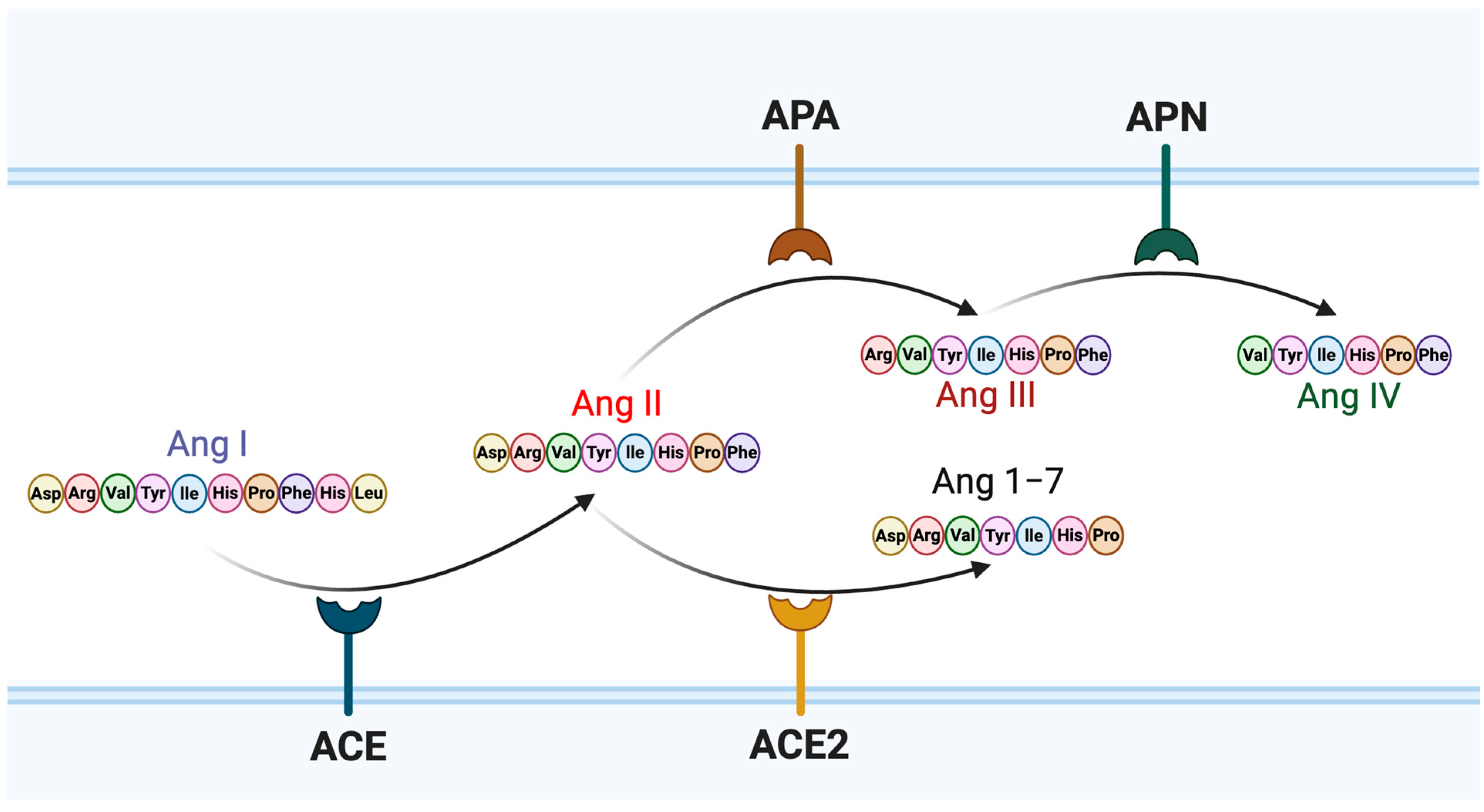 Viruses 17 01014 g001