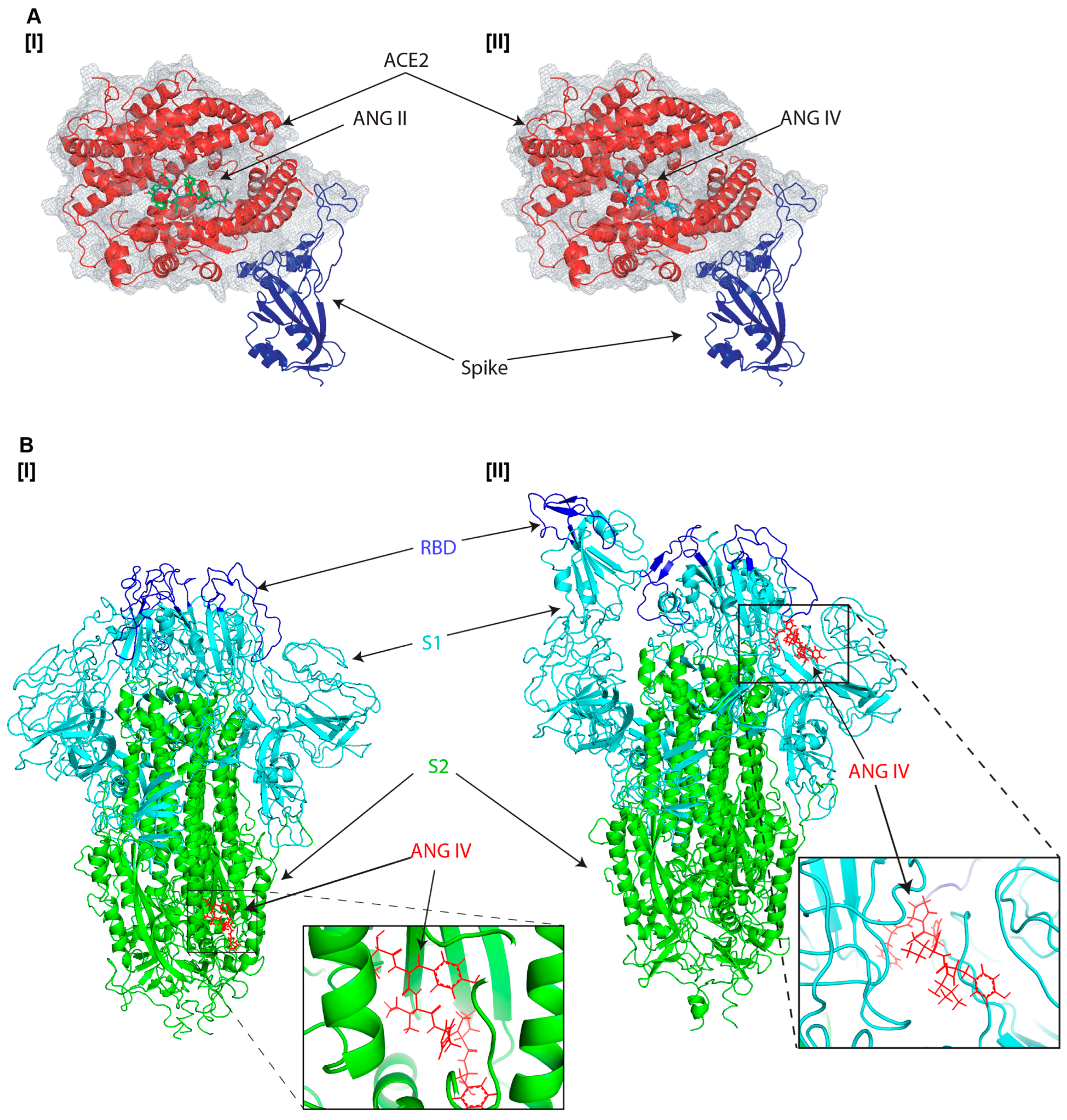 Viruses 17 01014 g002