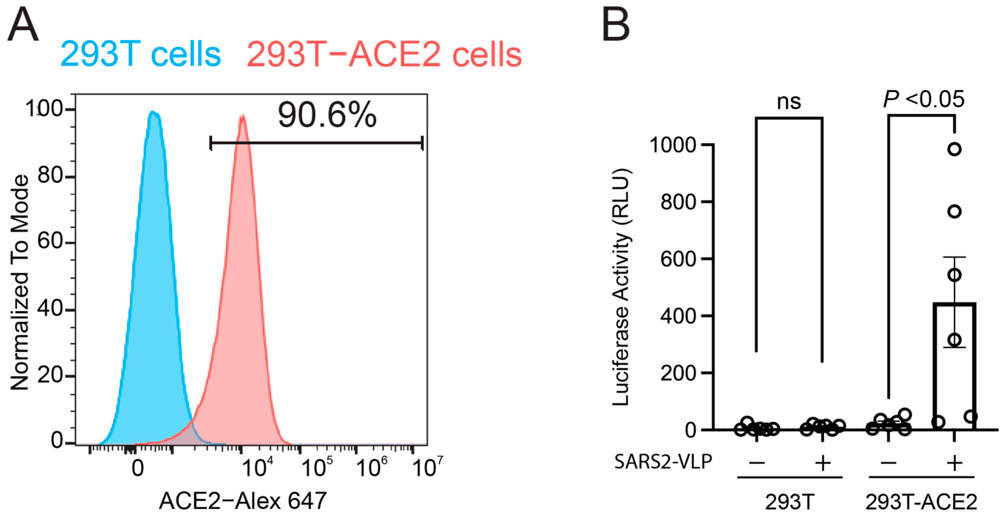 Viruses 17 01014 g003