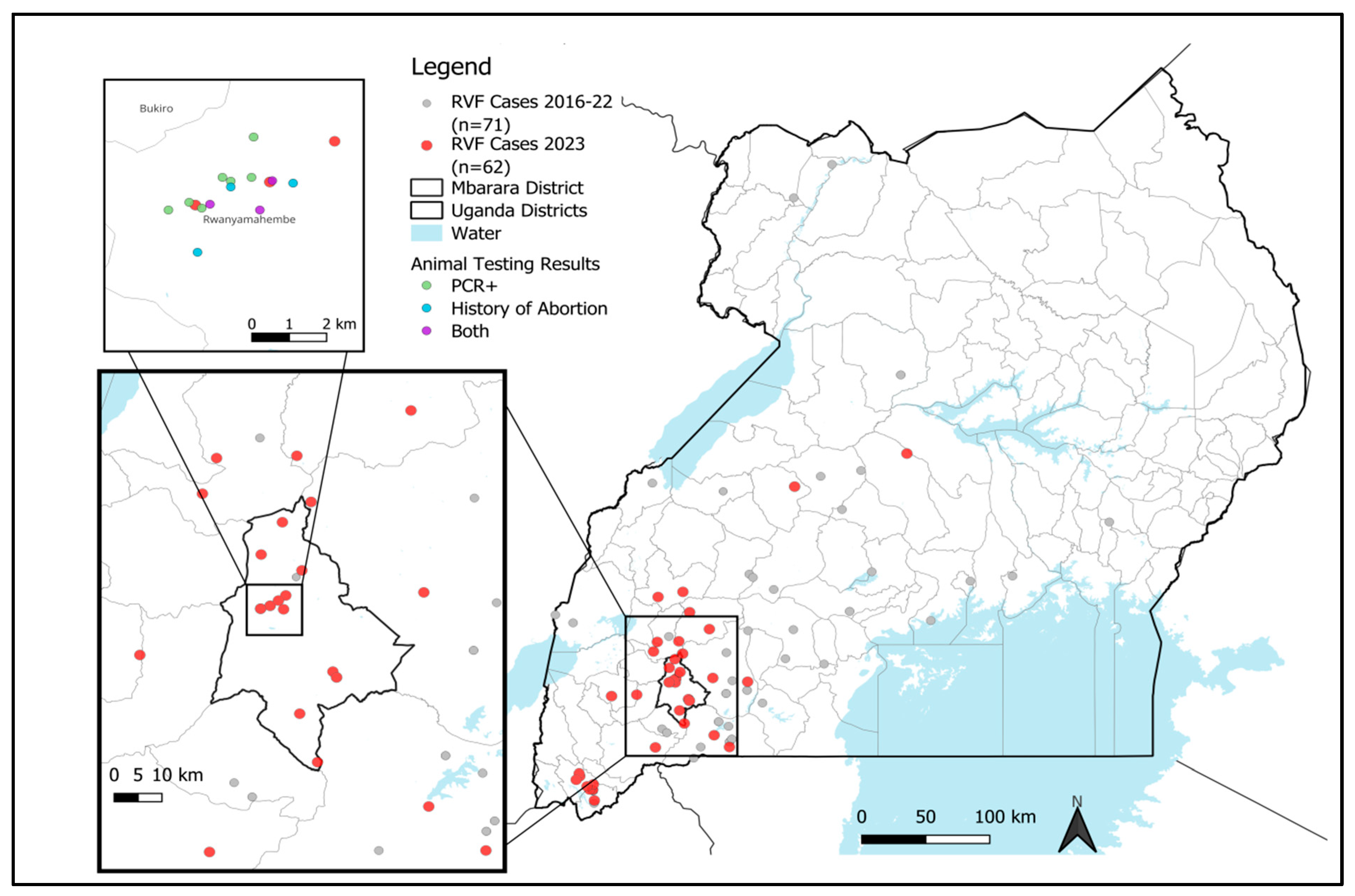Viruses 17 01015 g001