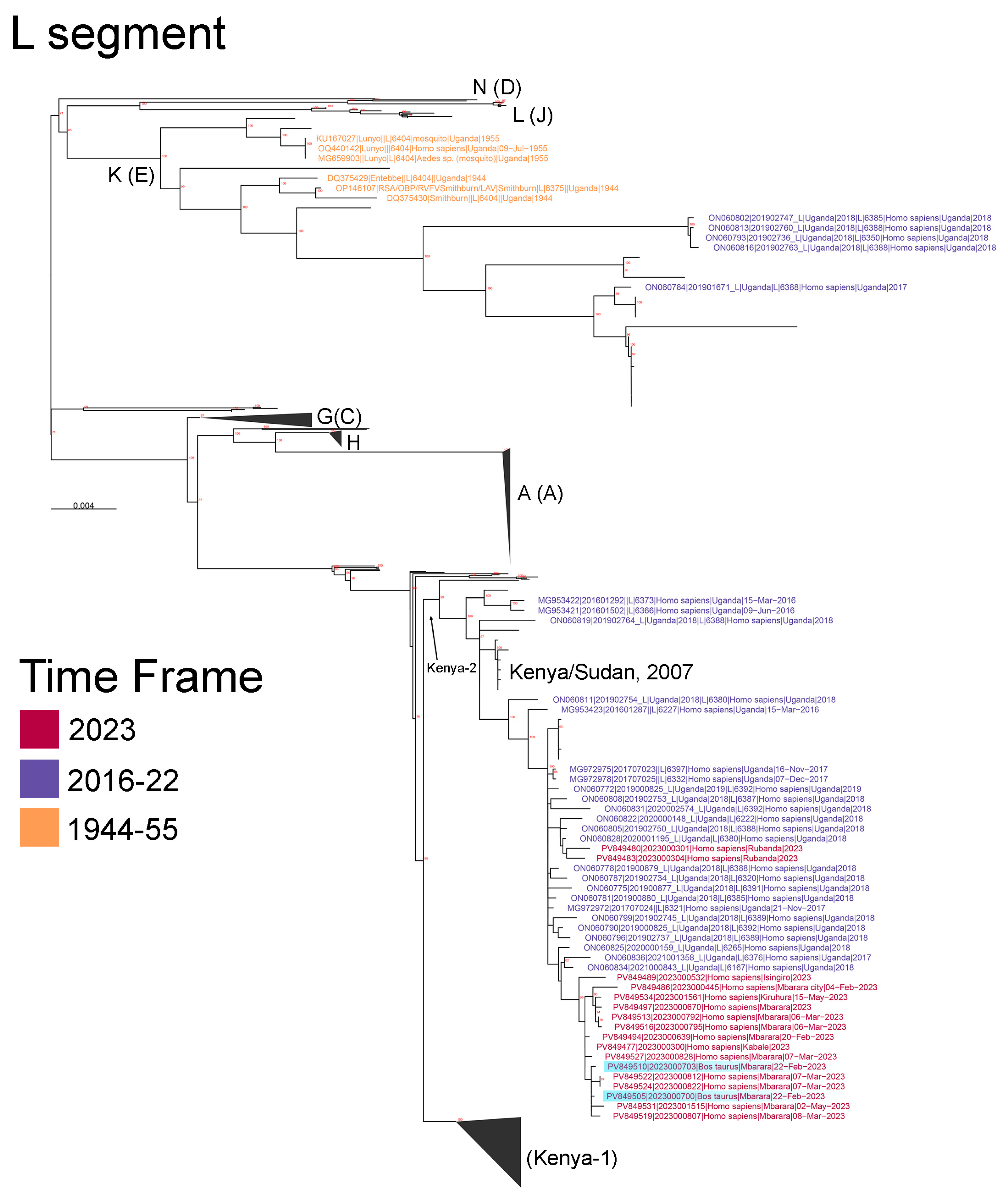 Viruses 17 01015 g003