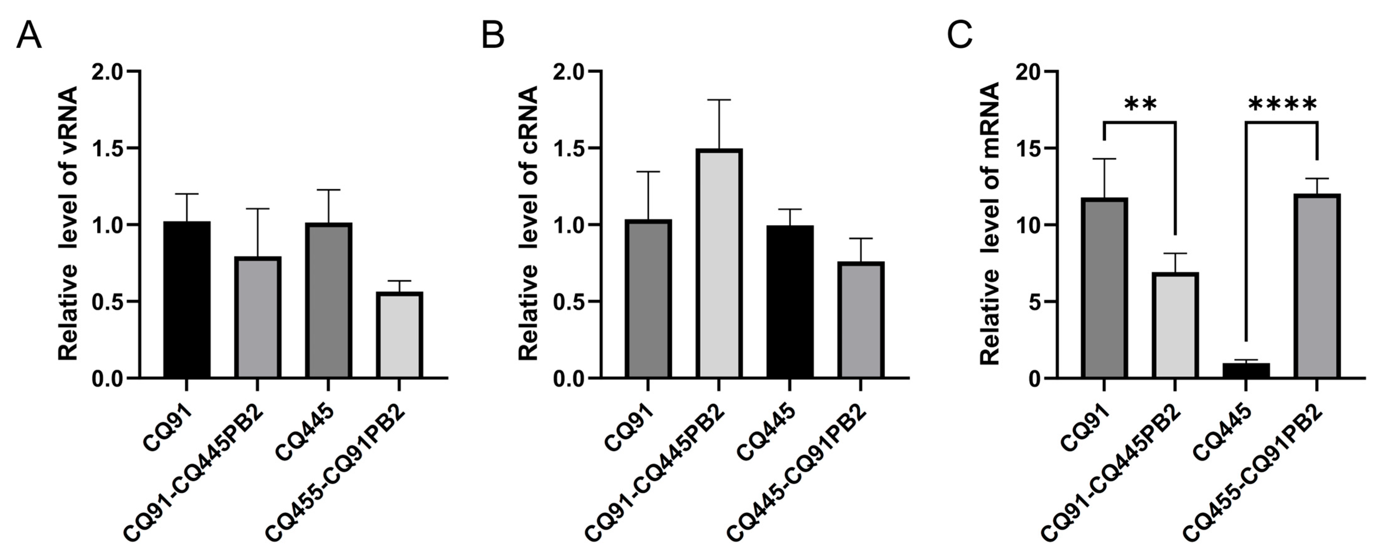 Viruses 17 01018 g005