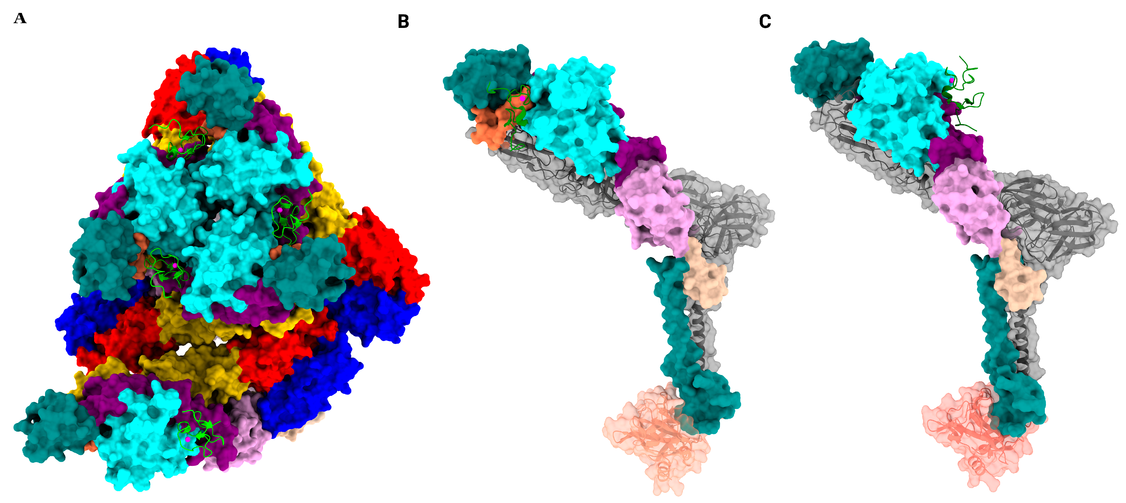 Viruses 17 01019 g005 Viruses 17 01019 g005