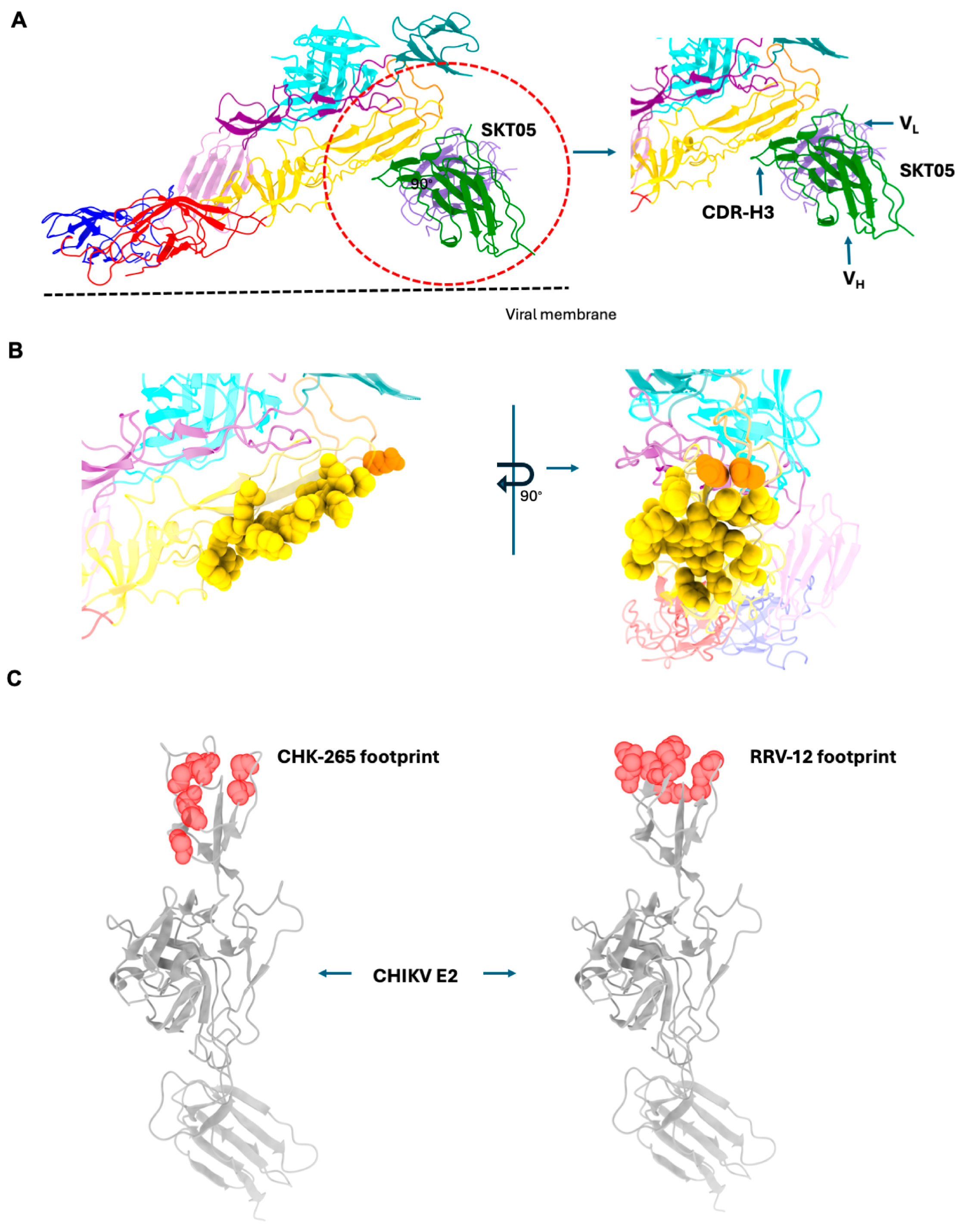 Viruses 17 01019 g008 Viruses 17 01019 g008
