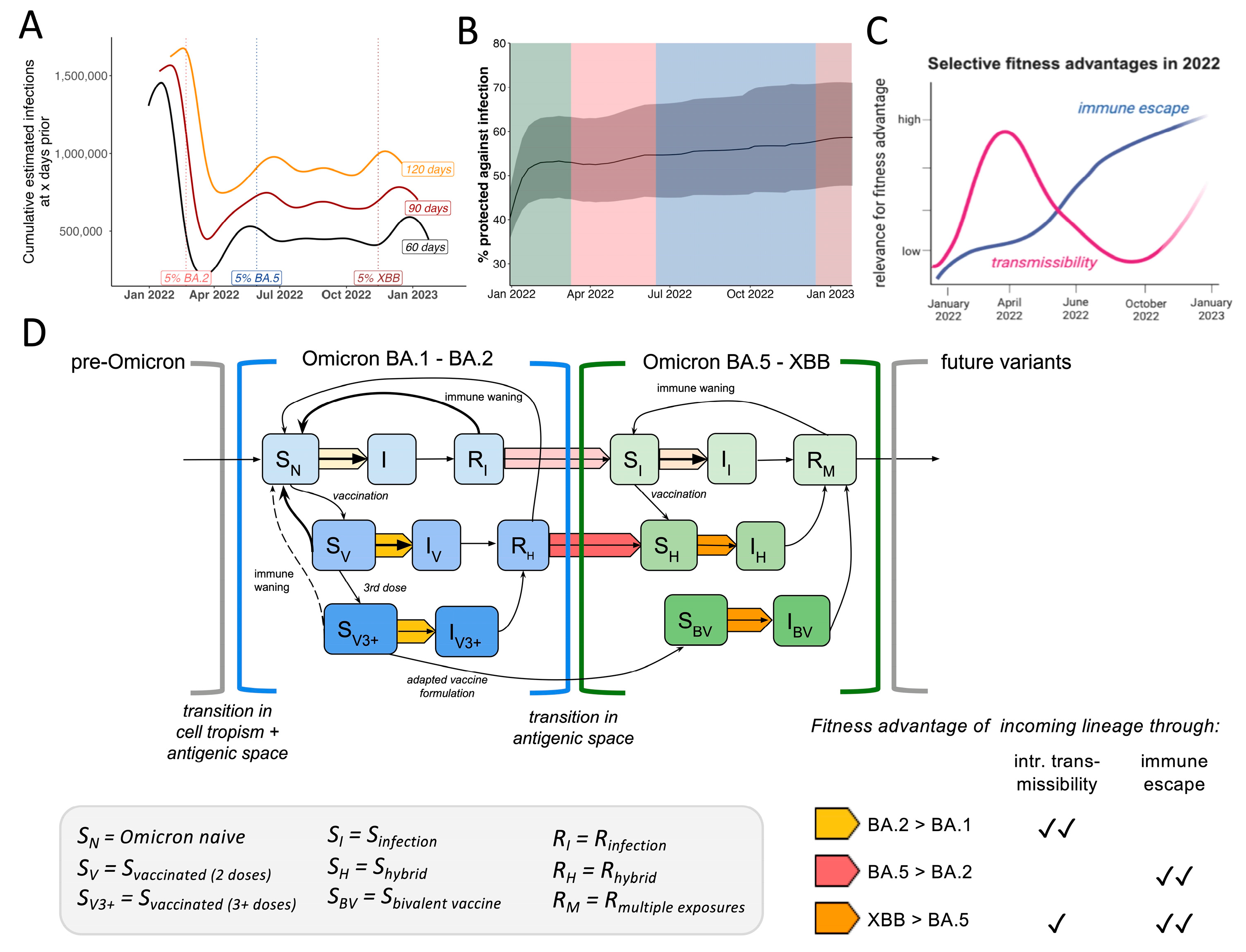 Viruses 17 01020 g005
