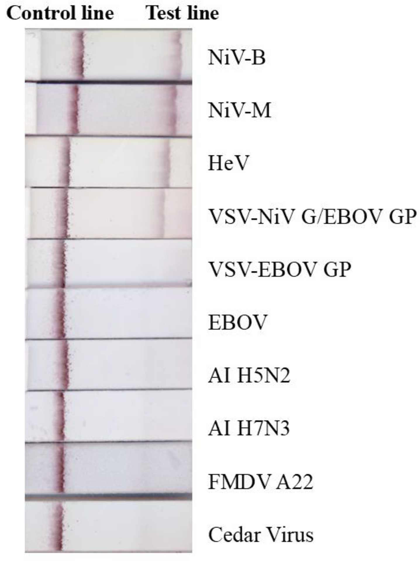 Viruses 17 01021 g002