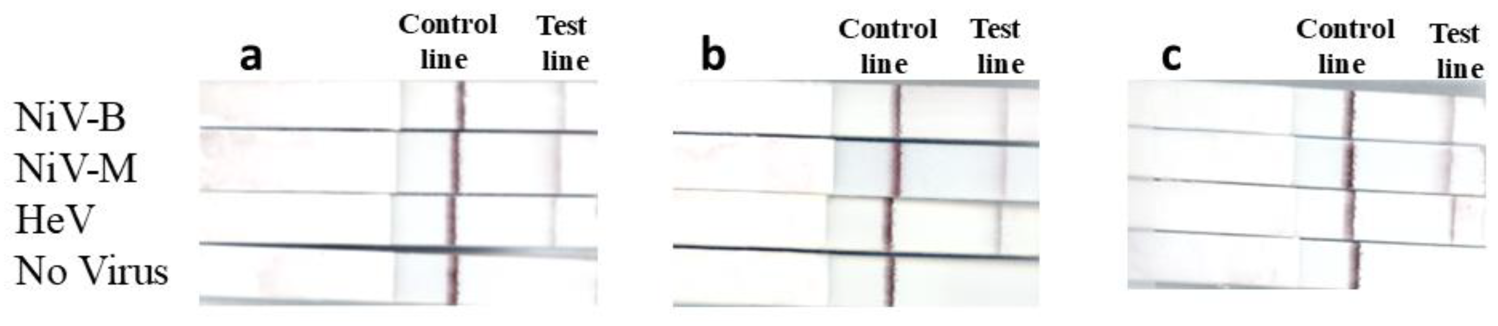 Viruses 17 01021 g003