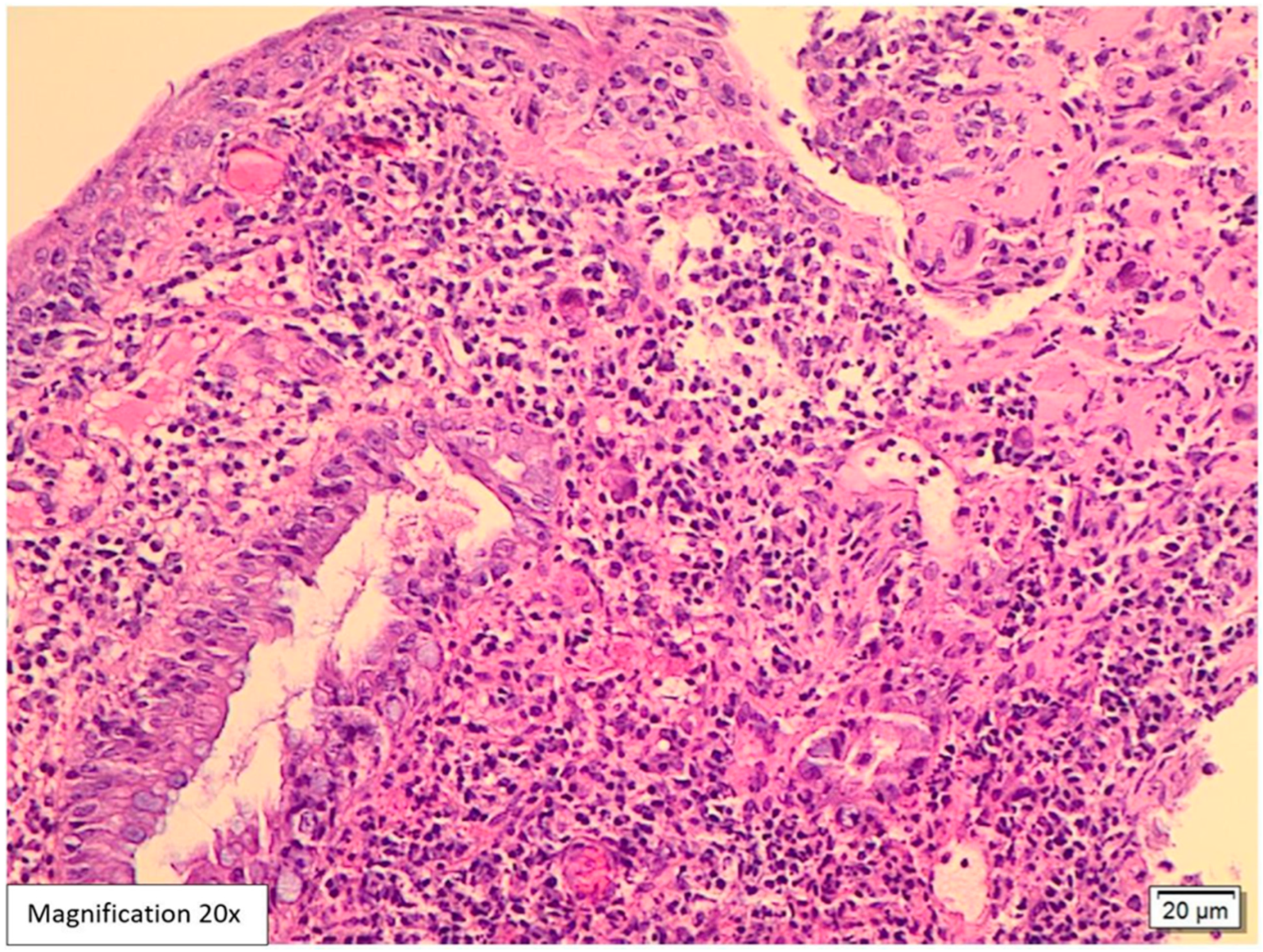 Viruses 17 01023 g001