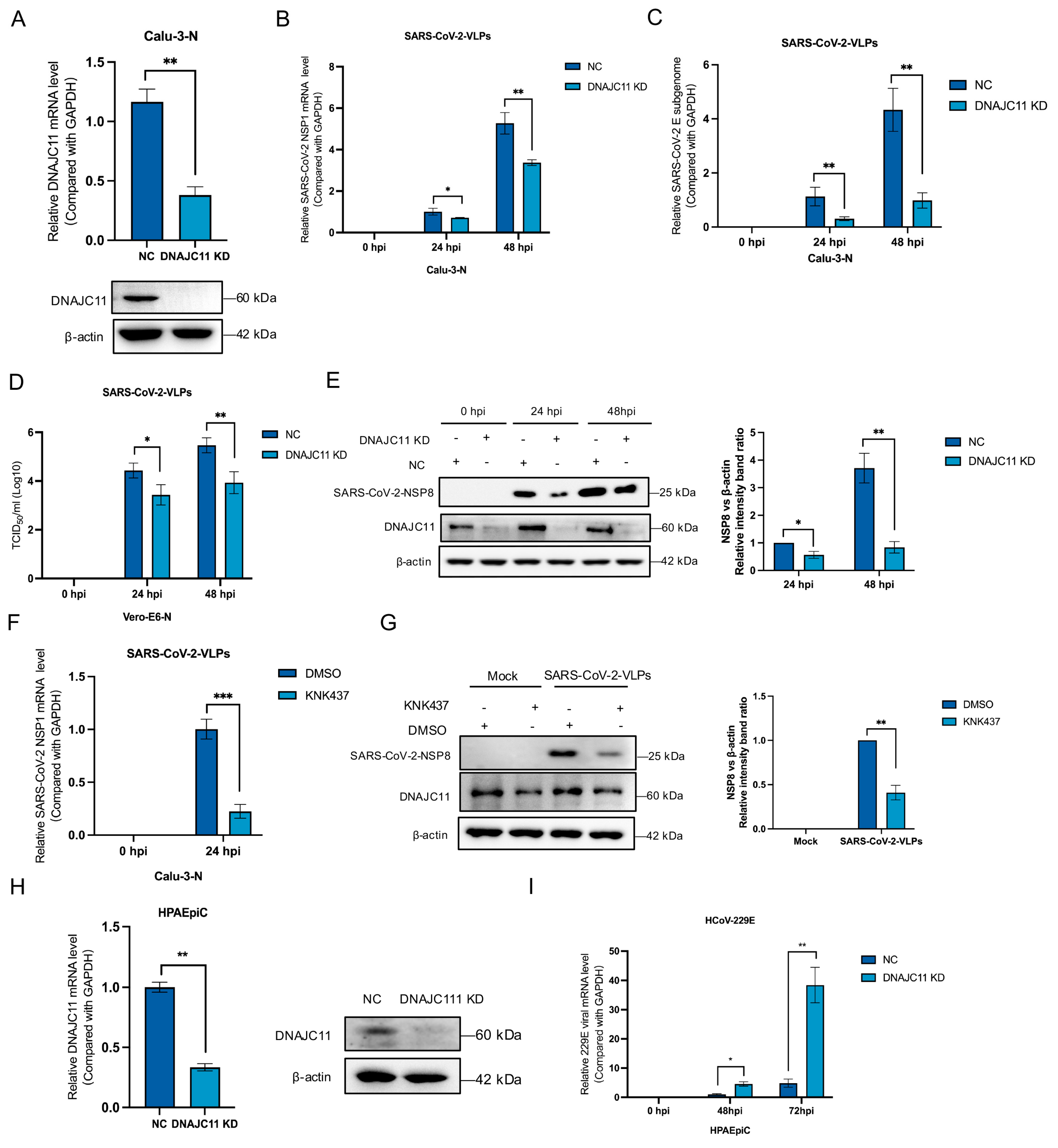 Viruses 17 01025 g002