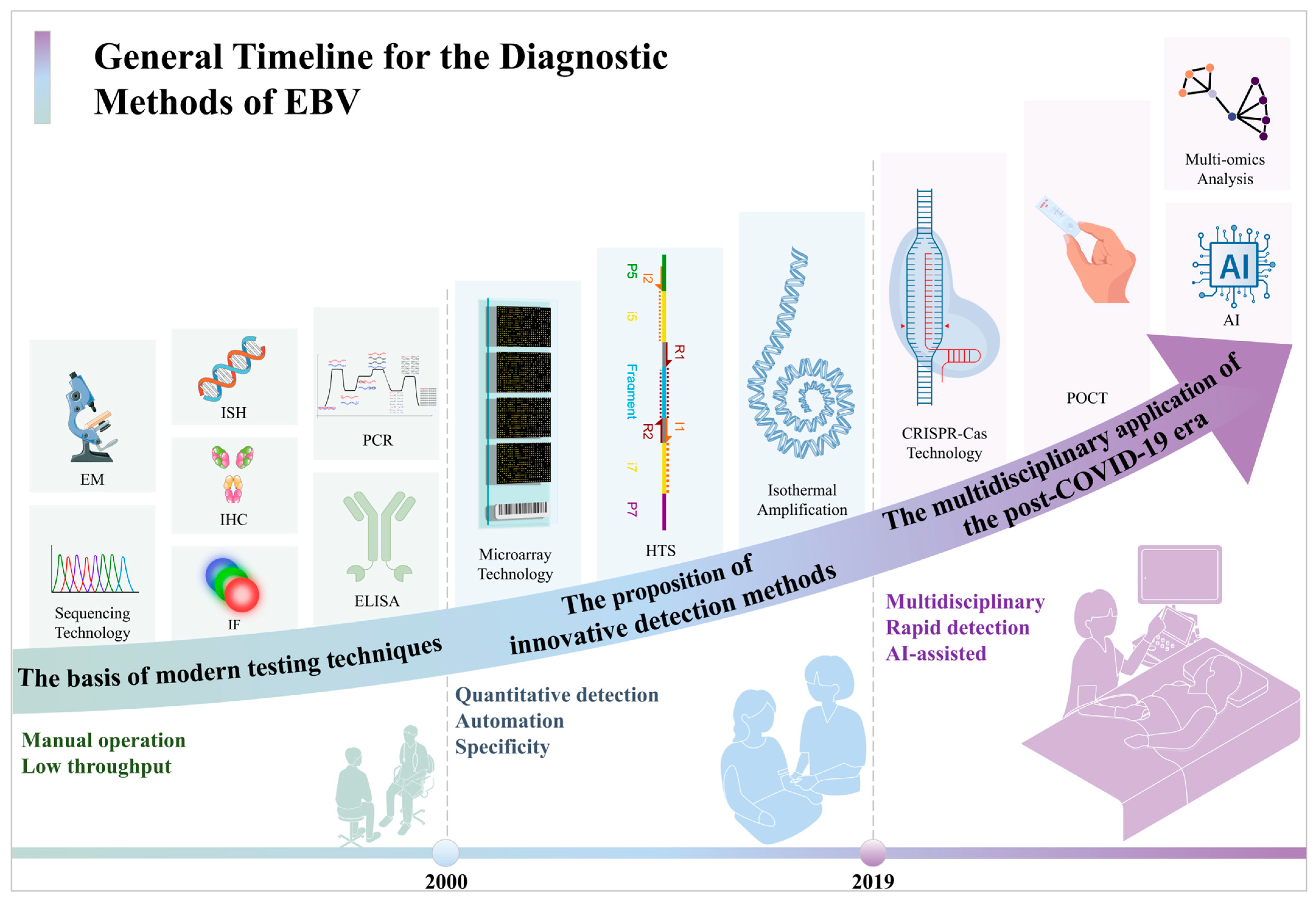 Viruses 17 01026 g003 Viruses 17 01026 g003