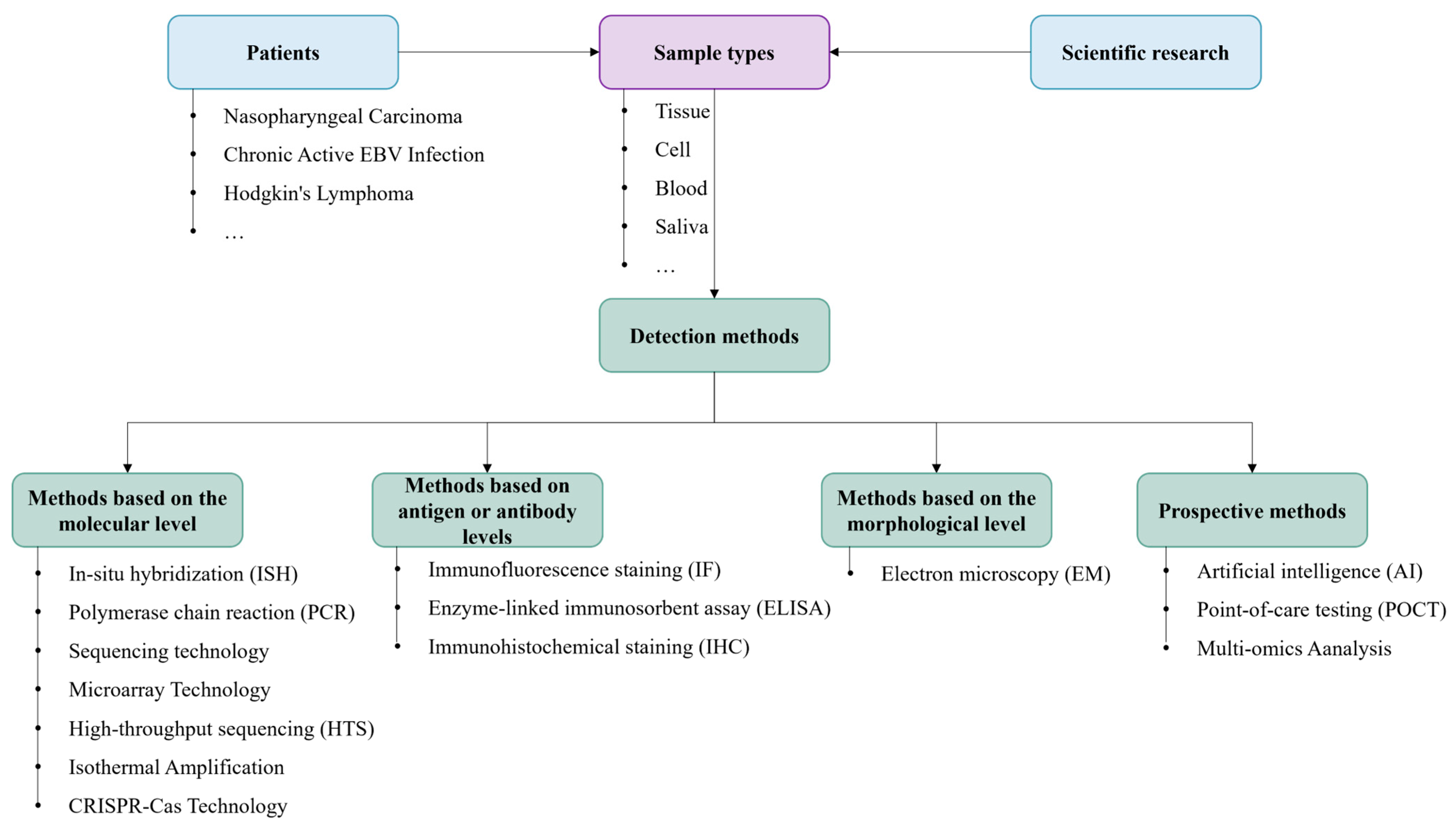 Viruses 17 01026 g005 Viruses 17 01026 g005