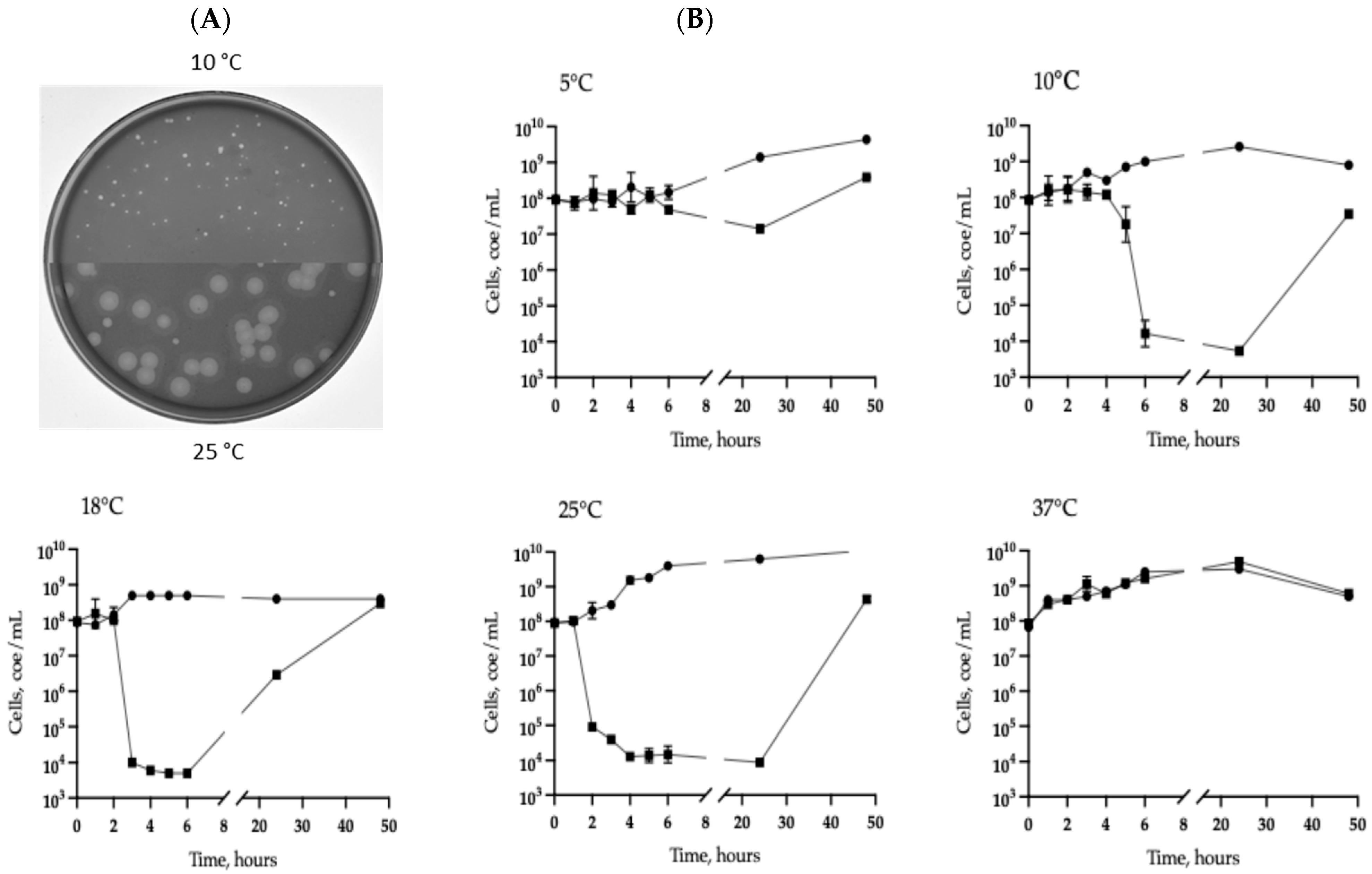 Viruses 17 01027 g001