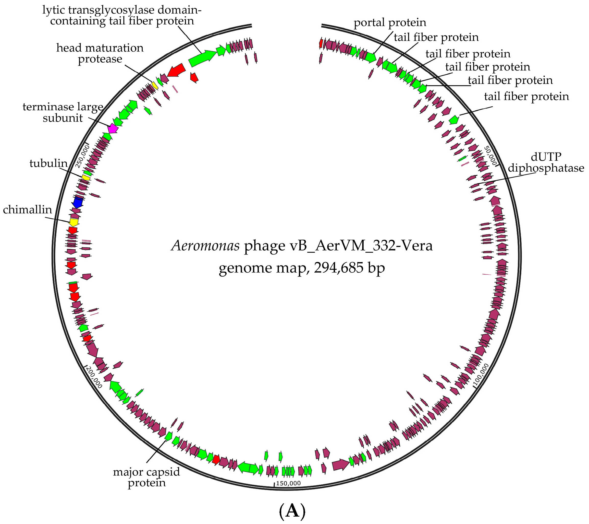 Viruses 17 01027 g003a