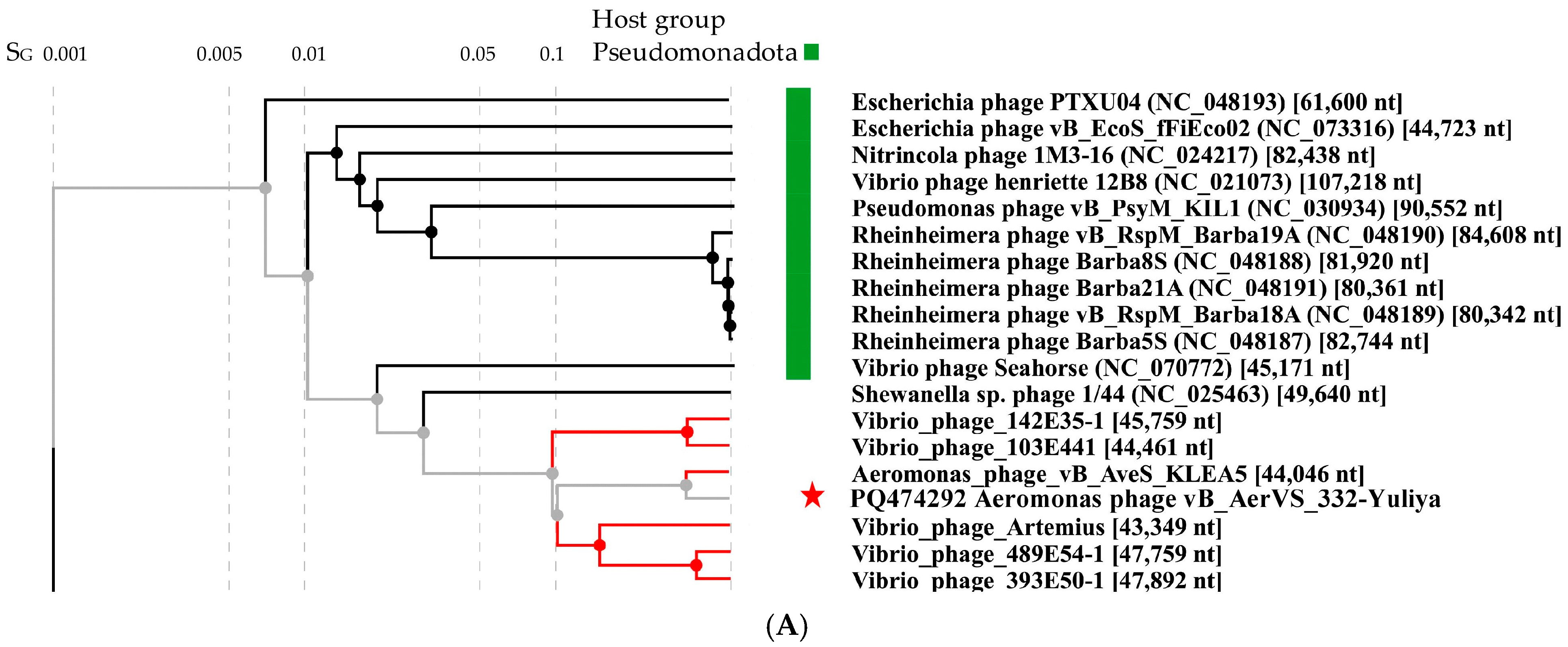 Viruses 17 01027 g004a