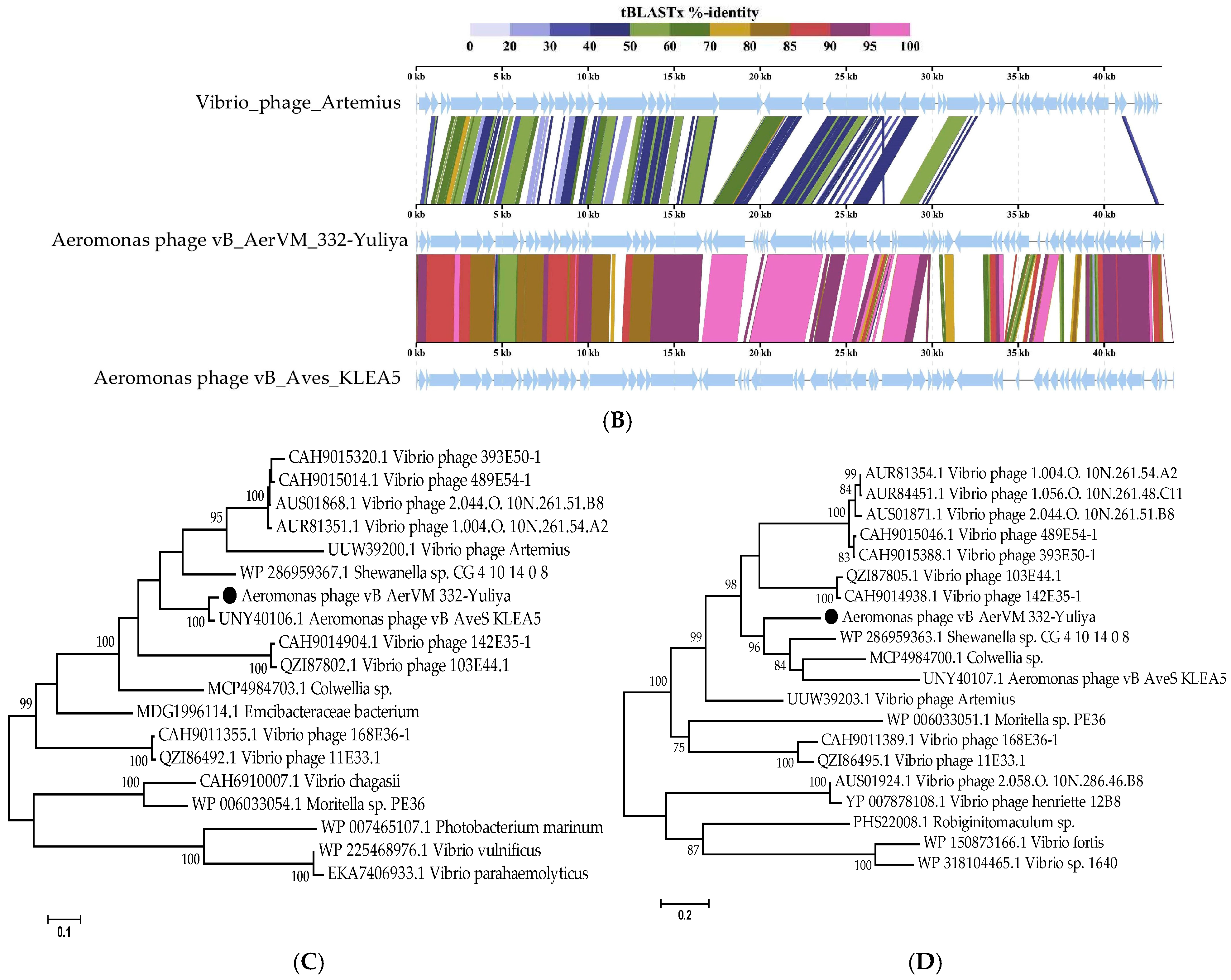 Viruses 17 01027 g004b