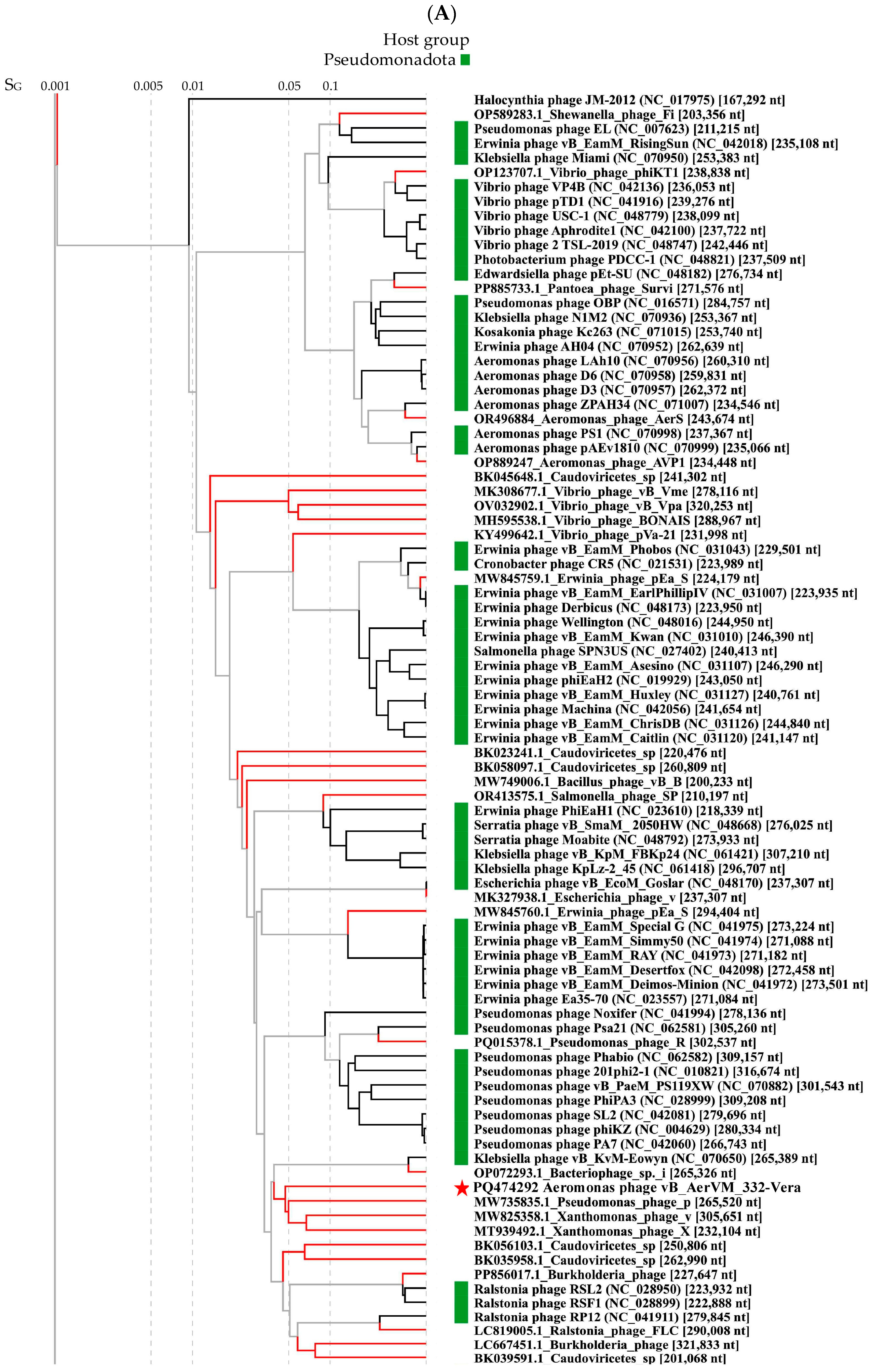 Viruses 17 01027 g005a