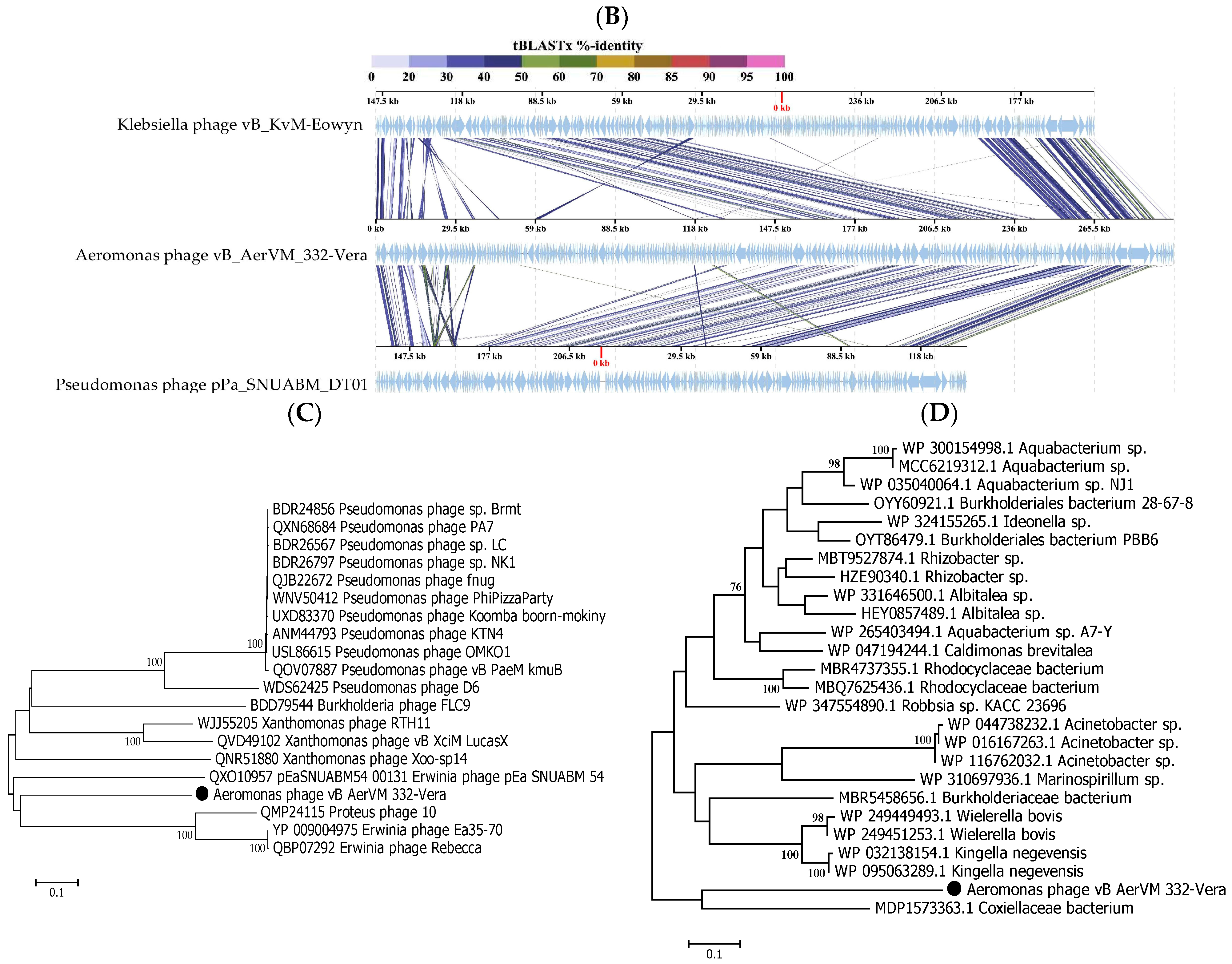 Viruses 17 01027 g005b