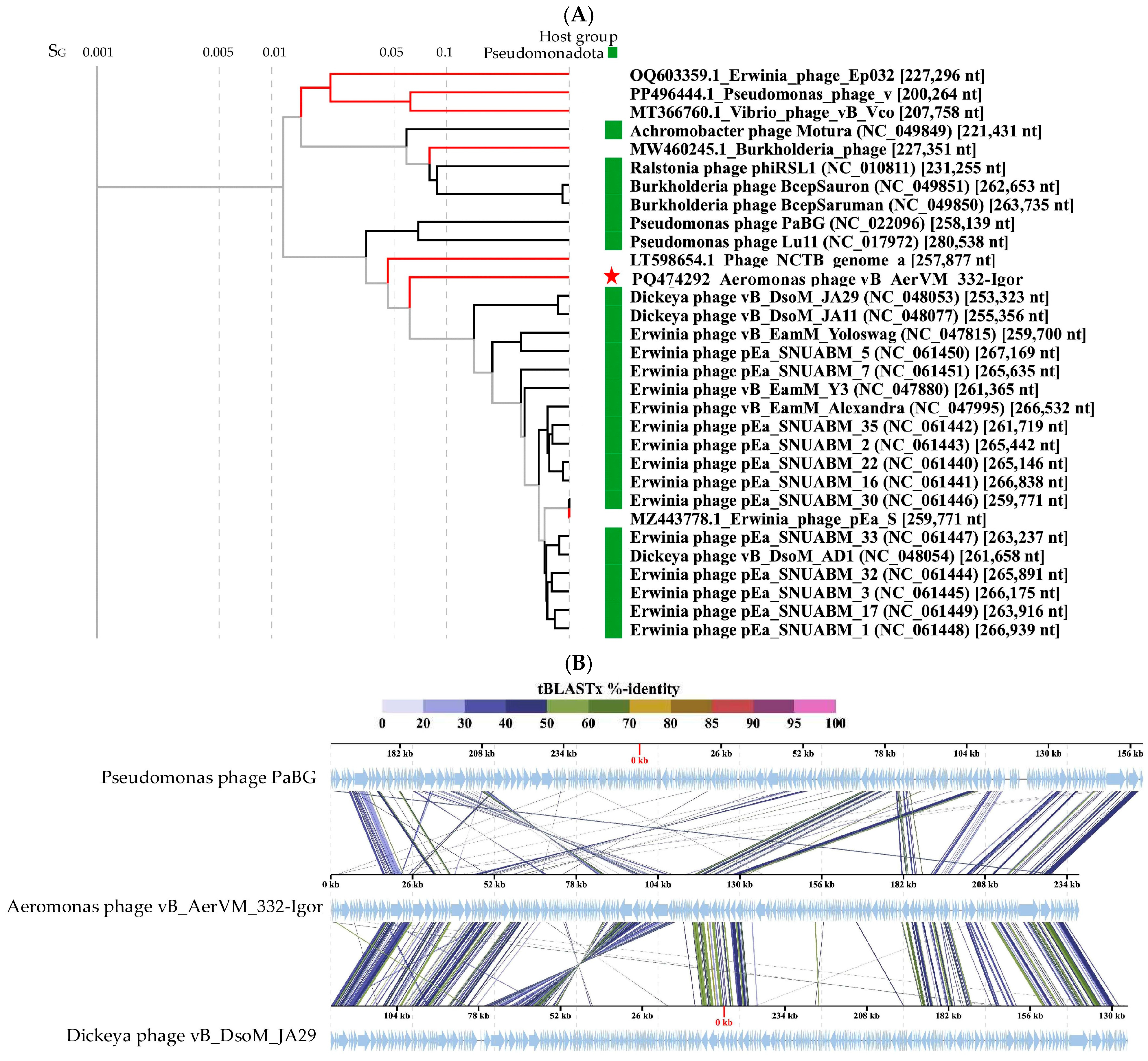 Viruses 17 01027 g006a