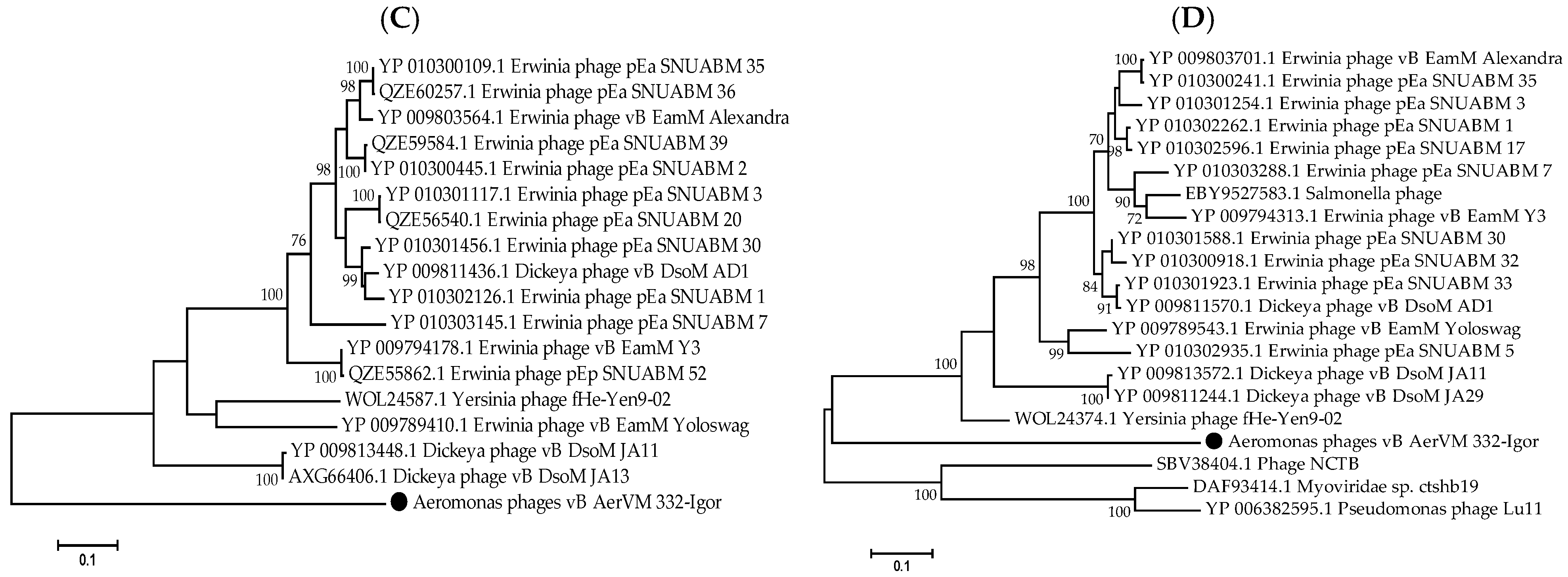 Viruses 17 01027 g006b
