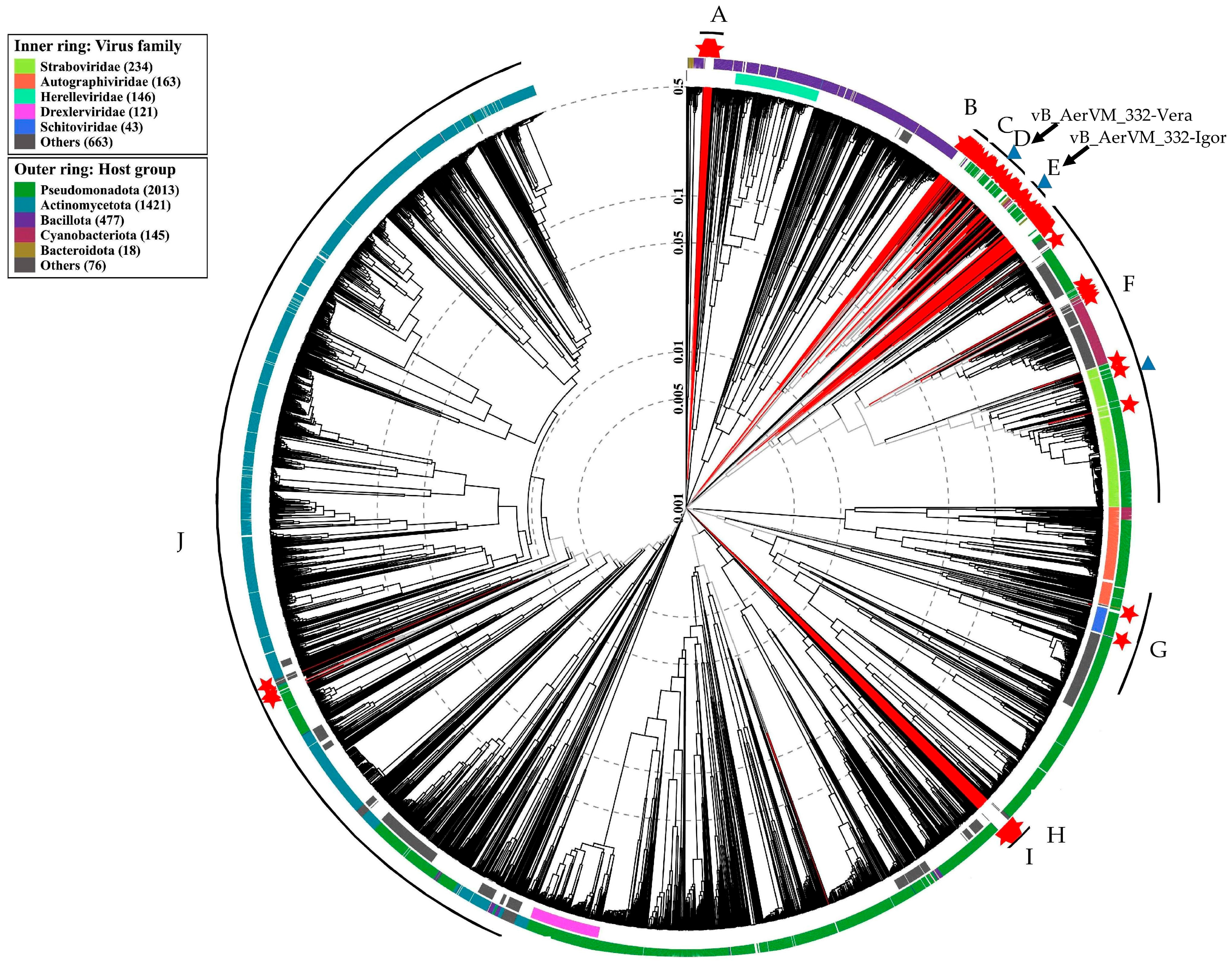 Viruses 17 01027 g007