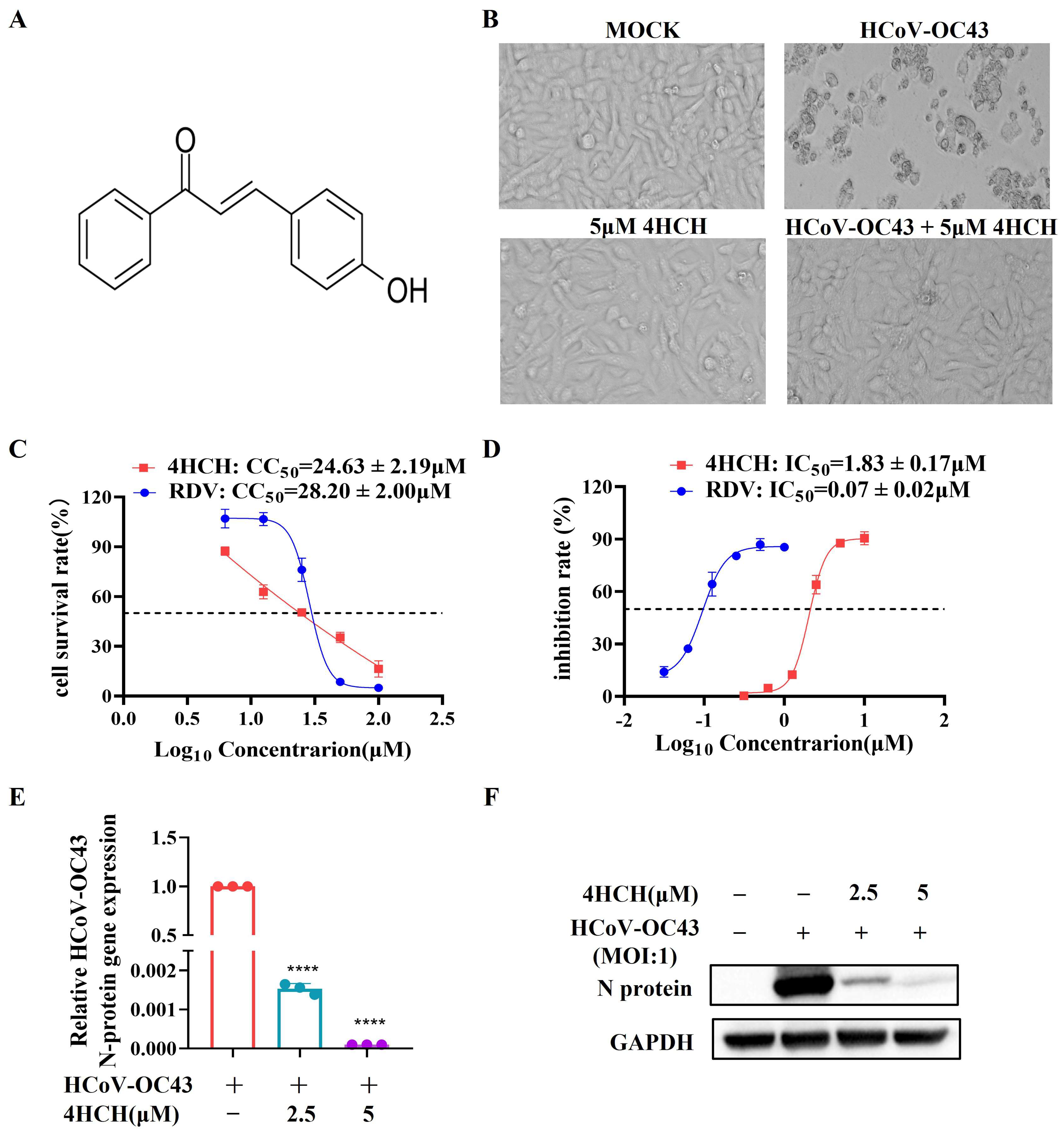 Viruses 17 01028 g001
