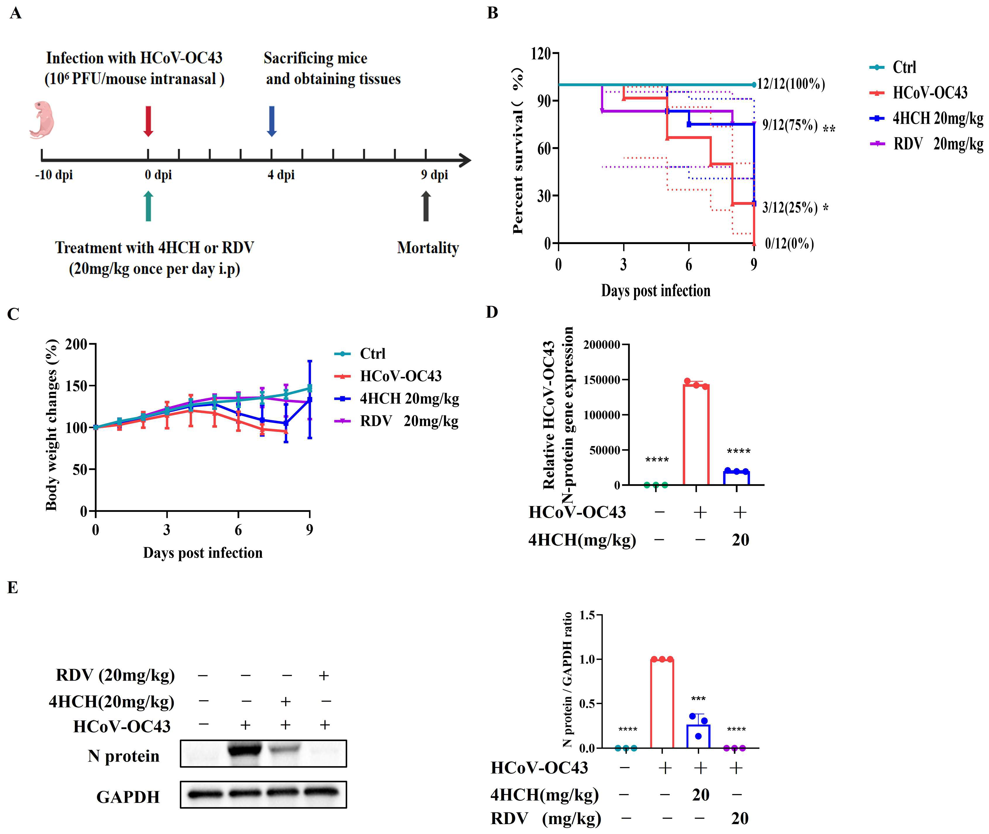 Viruses 17 01028 g002