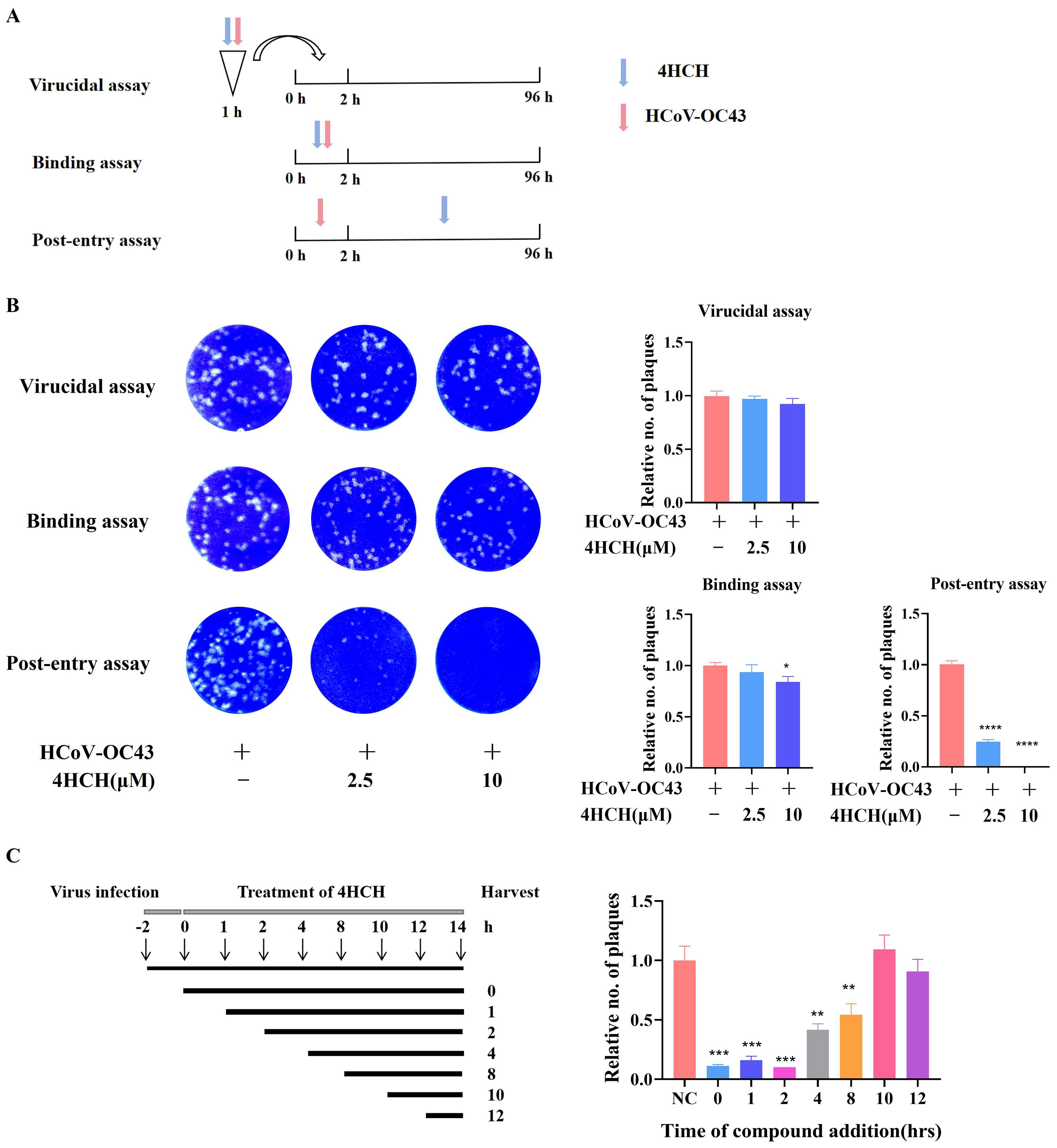 Viruses 17 01028 g003