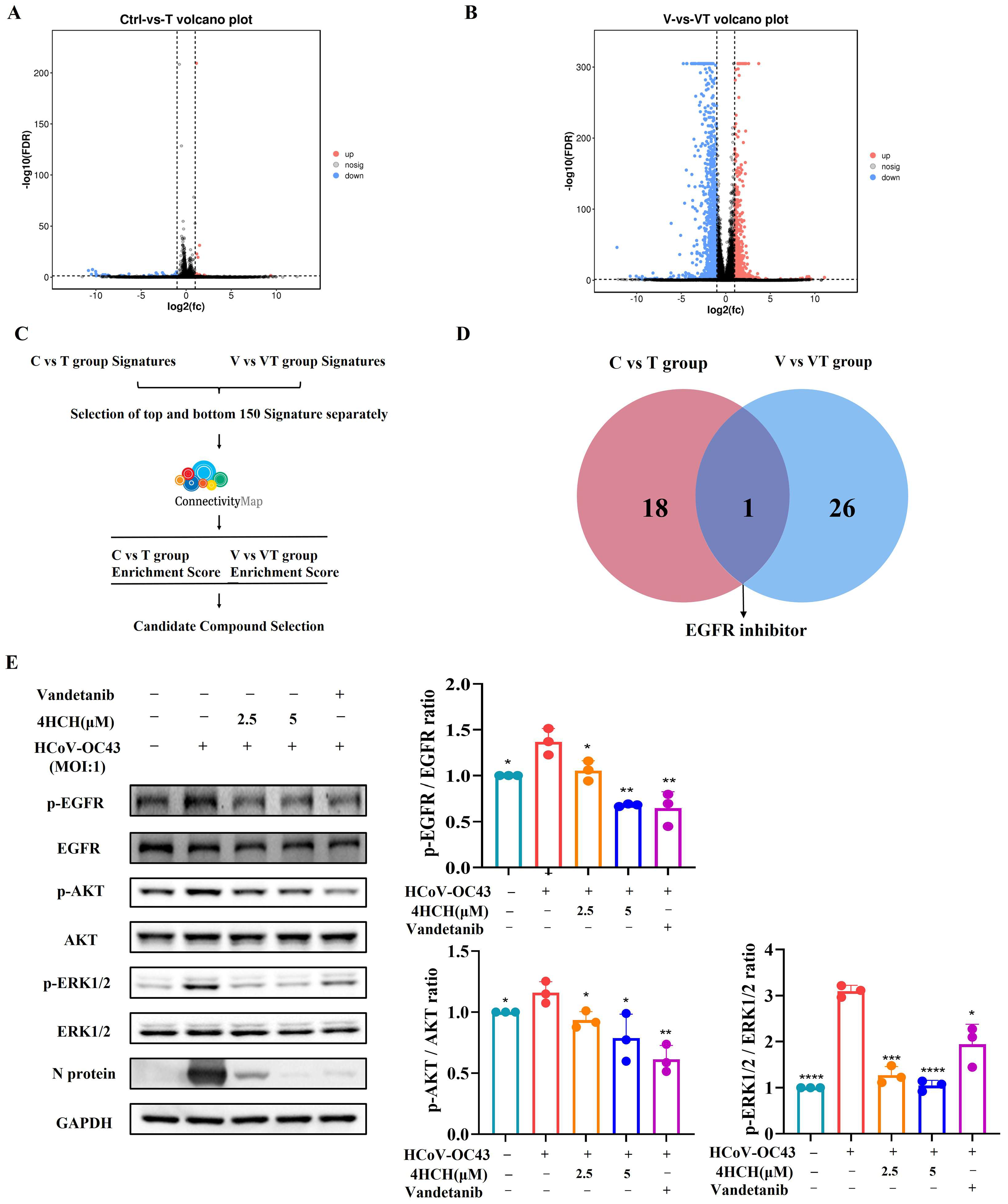 Viruses 17 01028 g004