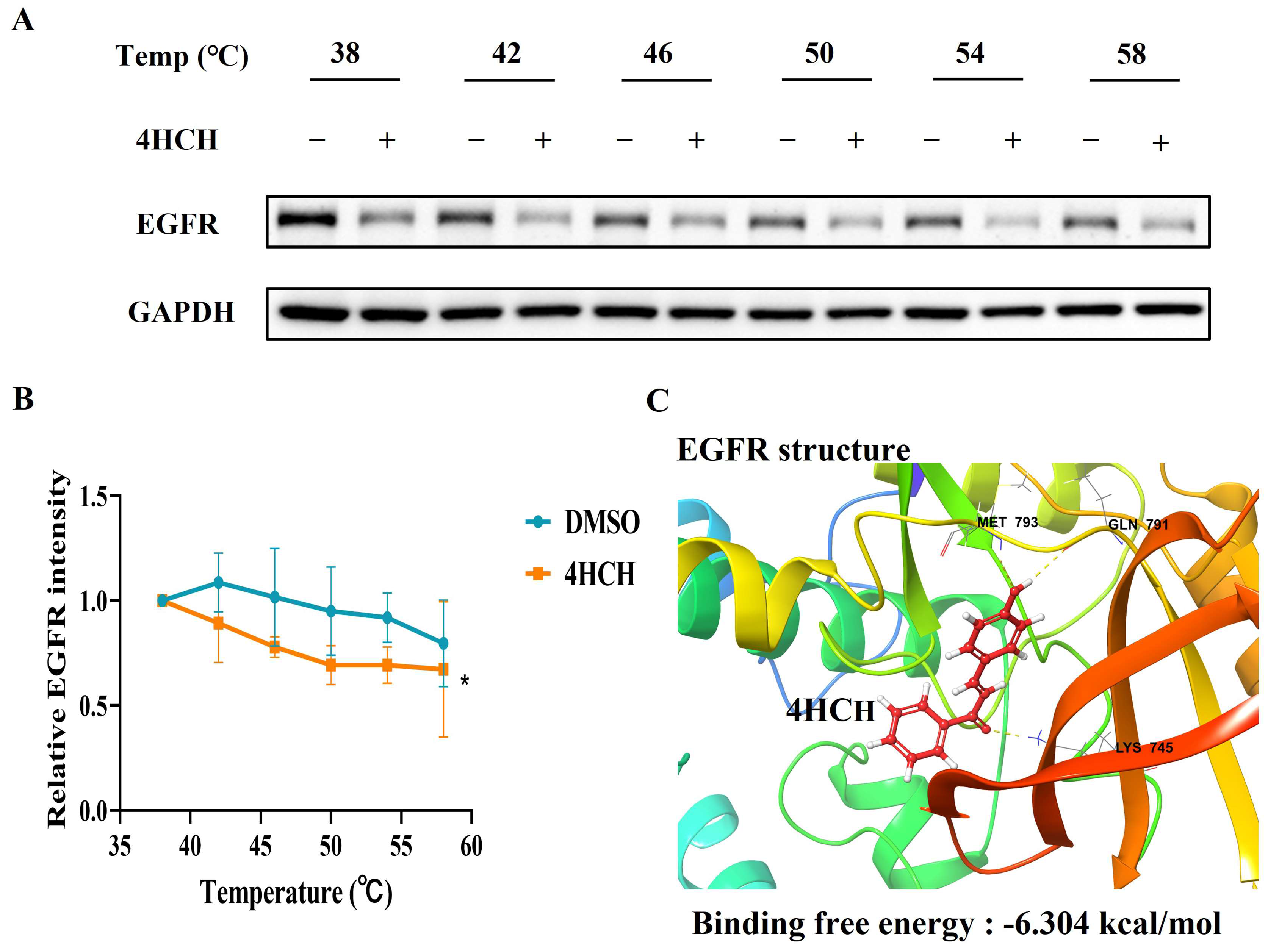 Viruses 17 01028 g005